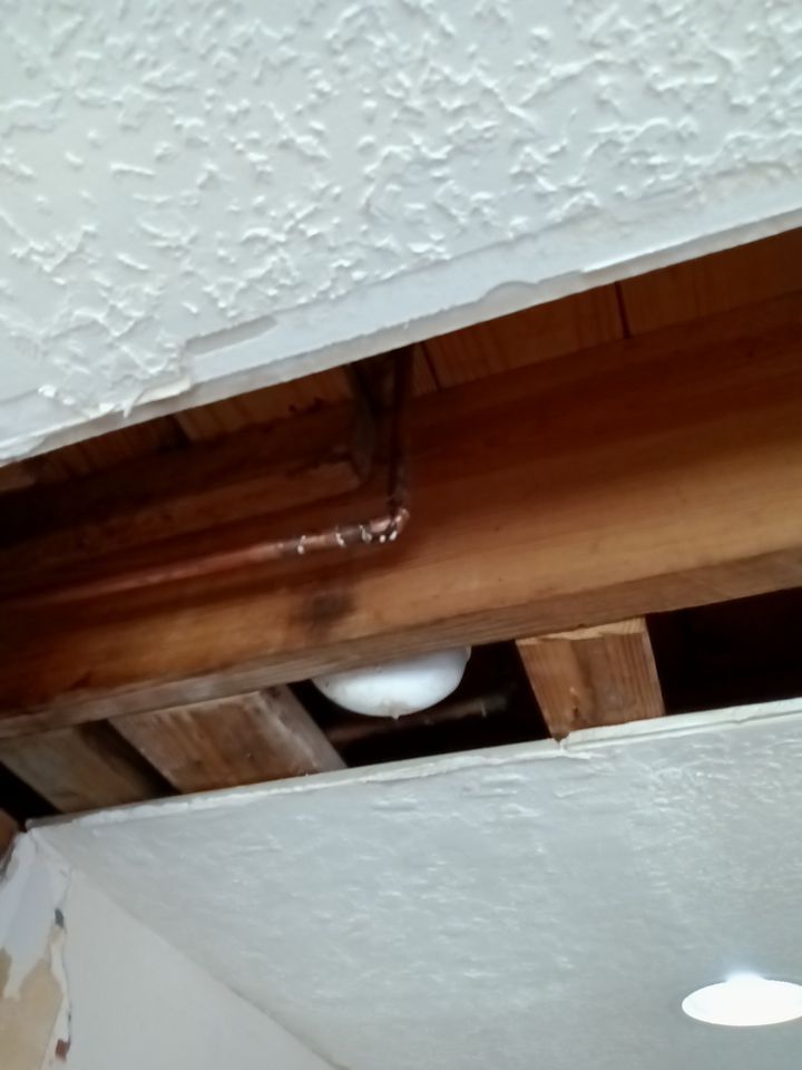 Interior and exterior painting project by Roof Concepts Construction