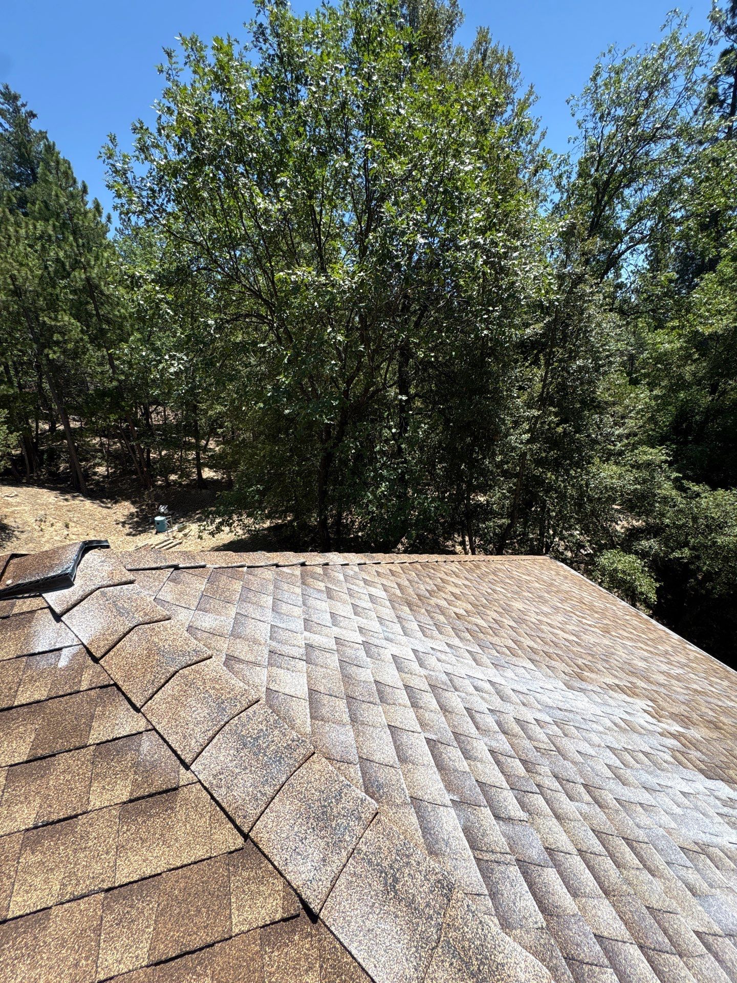 Roof Rejuvenation using Roof Maxx Treatment by Roof Maxx of Folsom