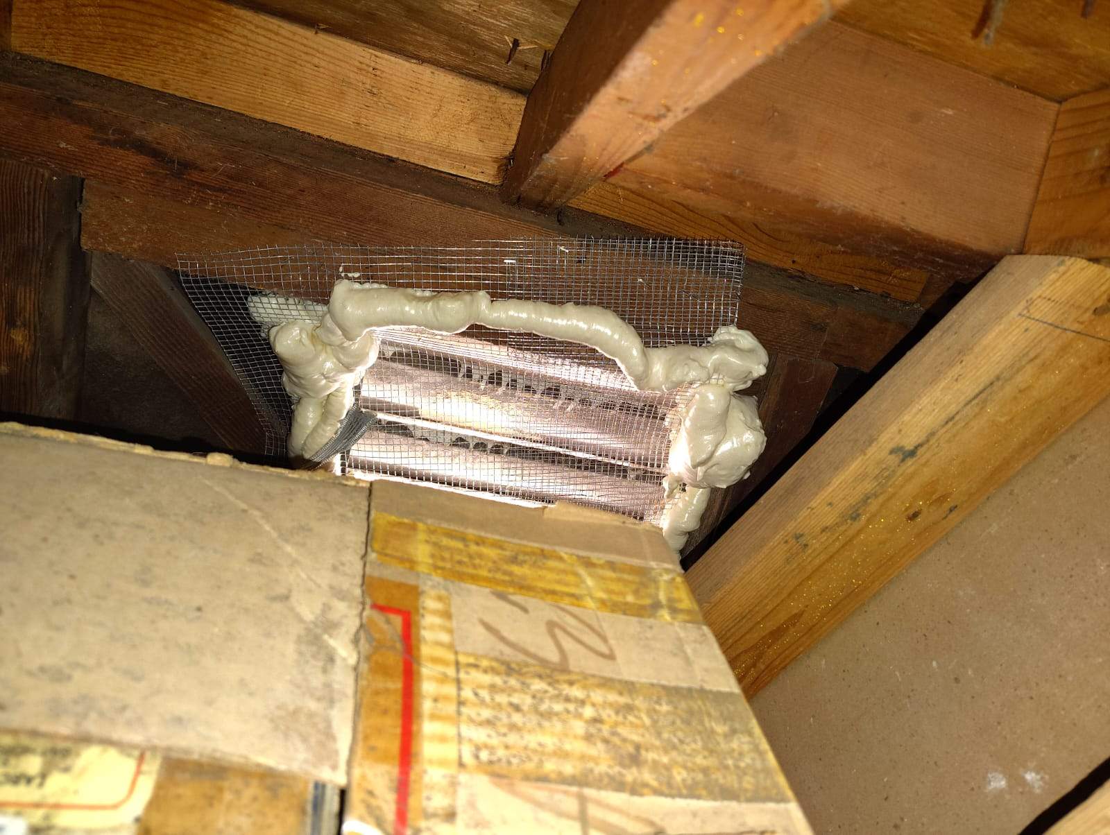 Project by Advanced Attic Solutions by Advanced Attic Solutions