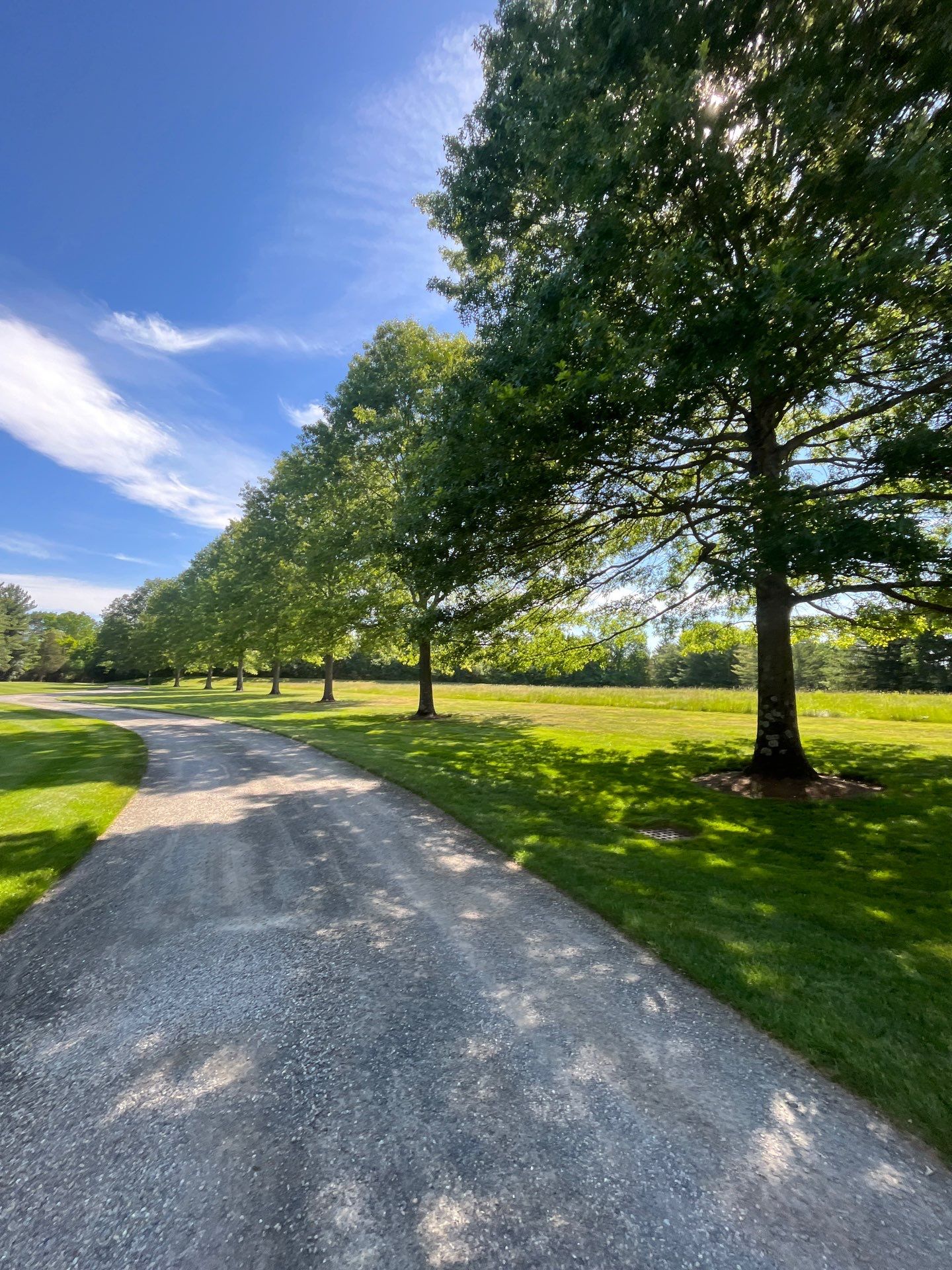 Professional Lawn Care for Far Hills Estate by Ants Plants