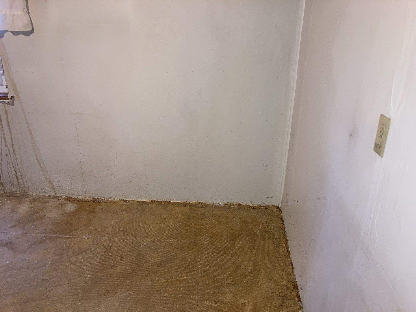 Mold Remediation in Basement by Accountable Home Services