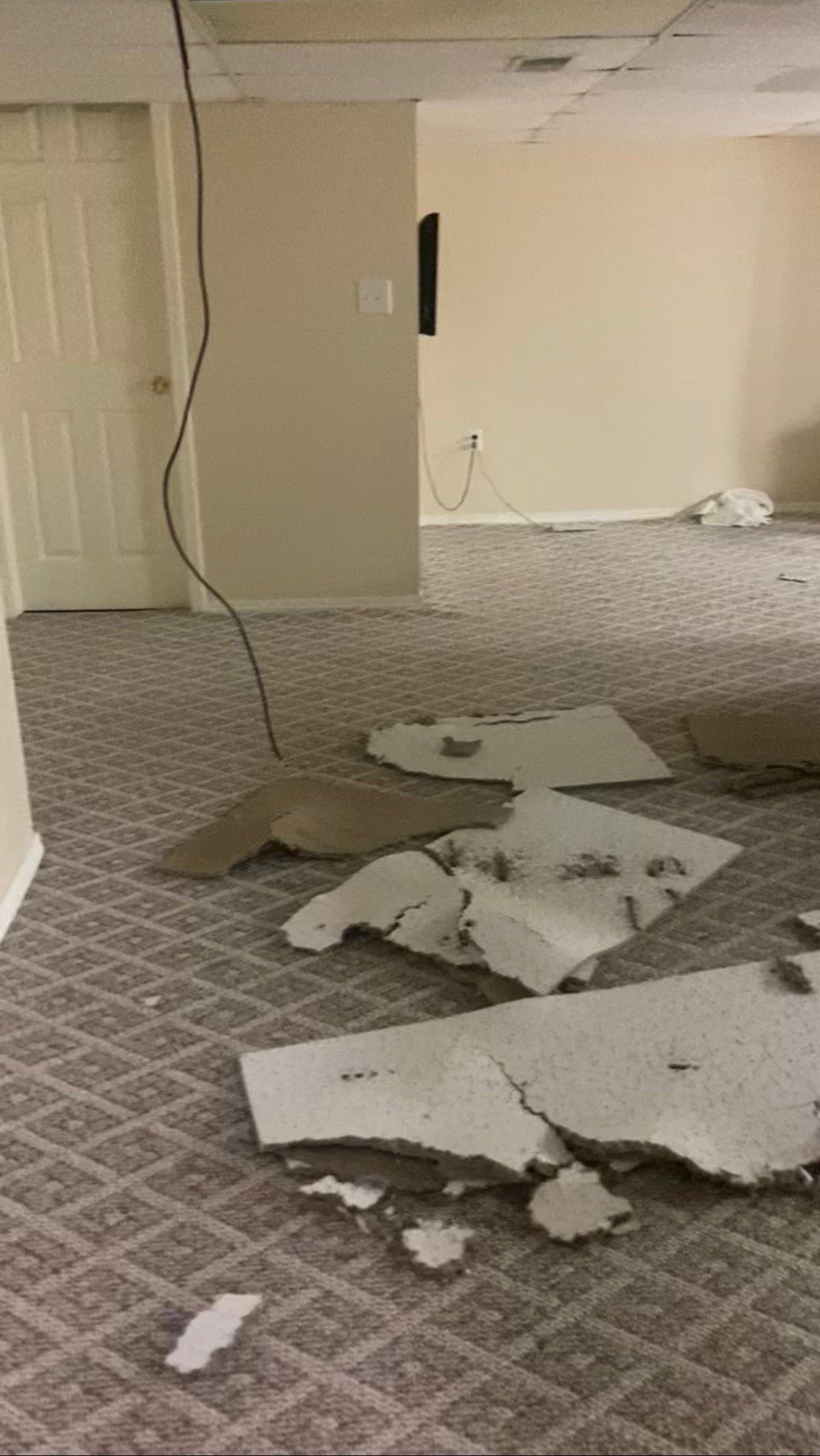 Project in Commerce Twp by EzDry Water Mitigation & Property Restoration