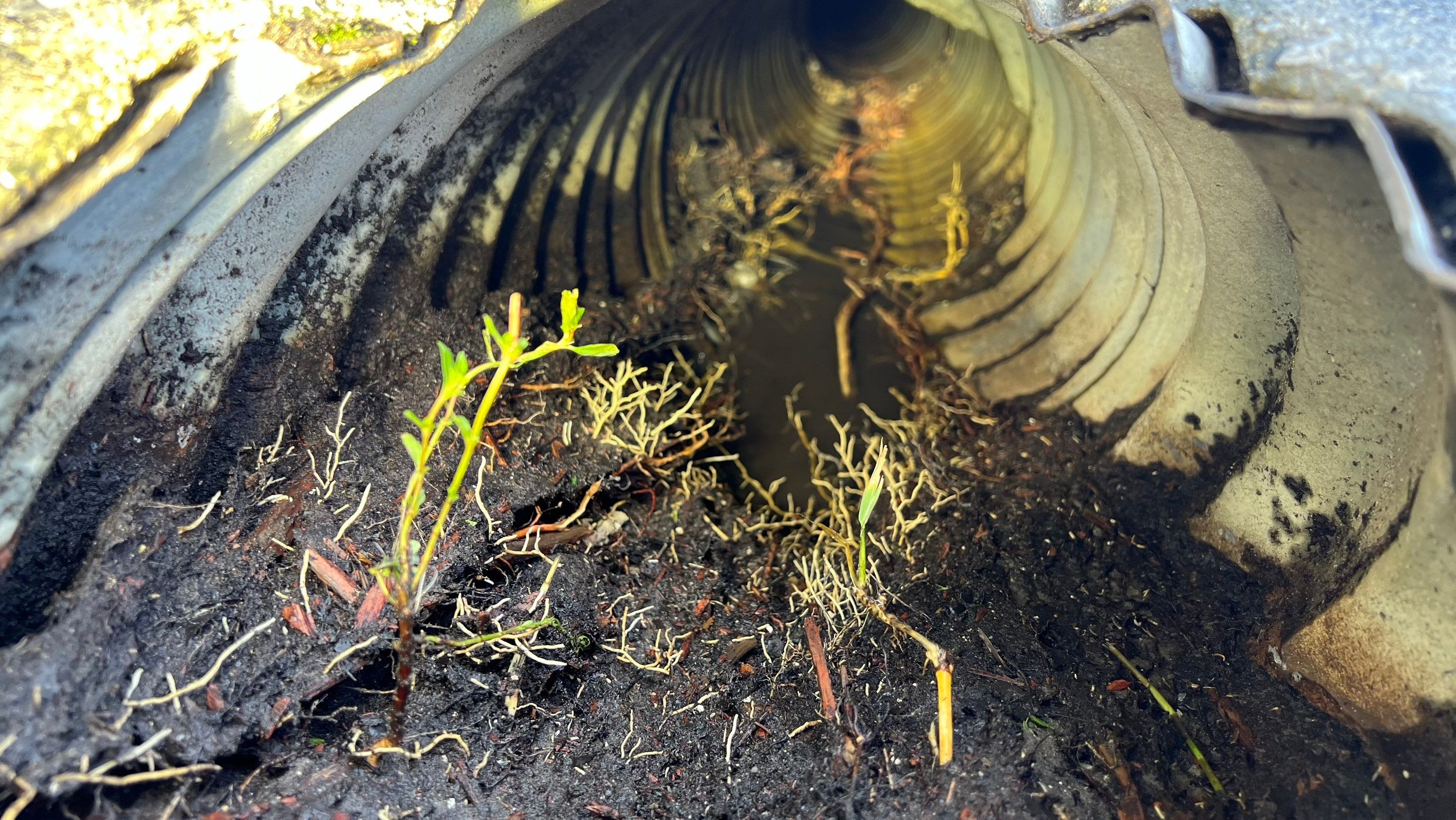 Naples Community Entry Road Stormwater System Cleaning by APS Power & Water