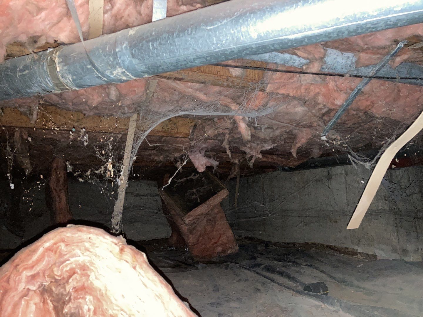 Crawl Space Cleanup  by Accountable Home Services