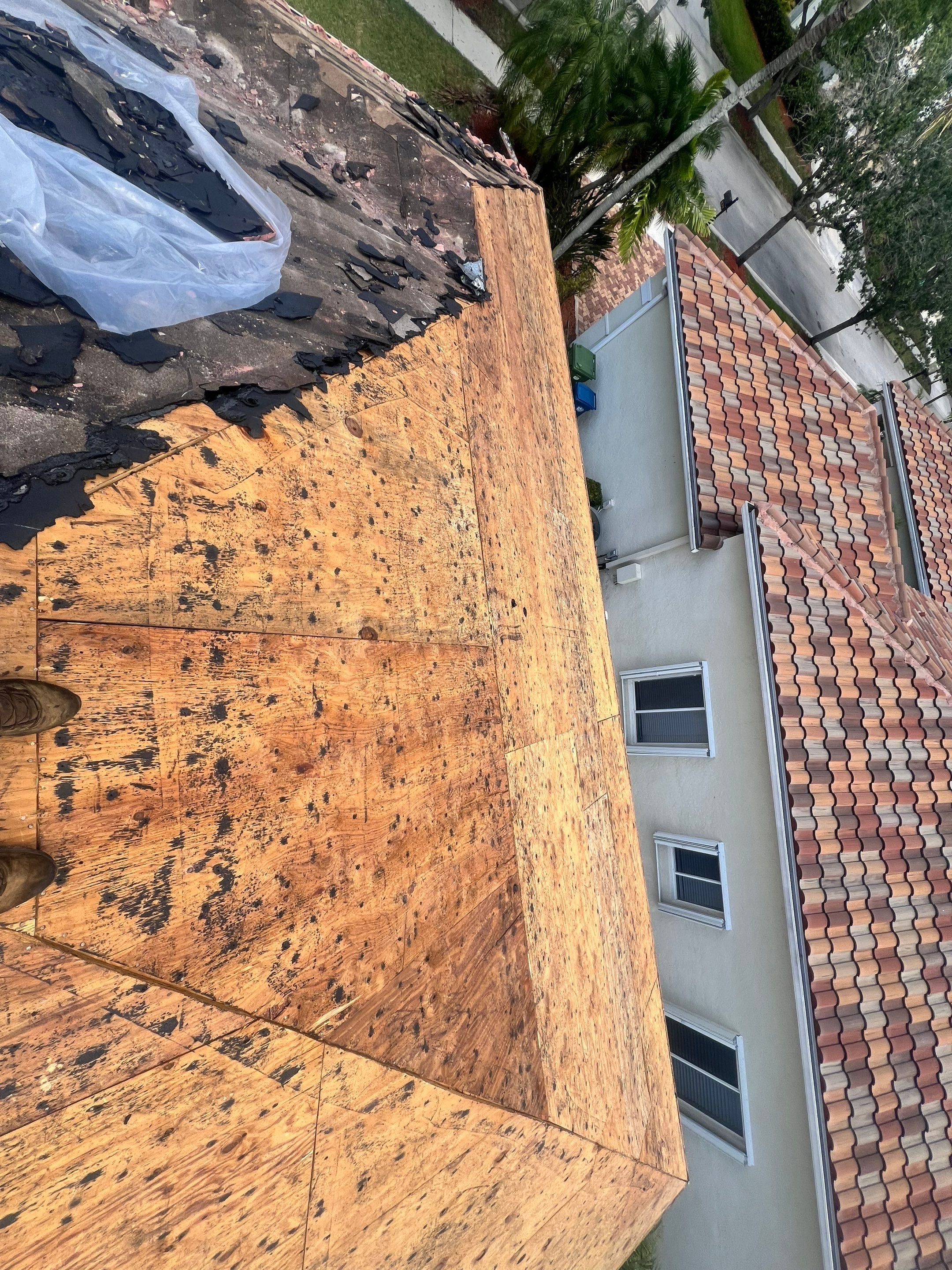 Roof and Paint Broward Weston by The Goat Contractor ( Giampri Corp)