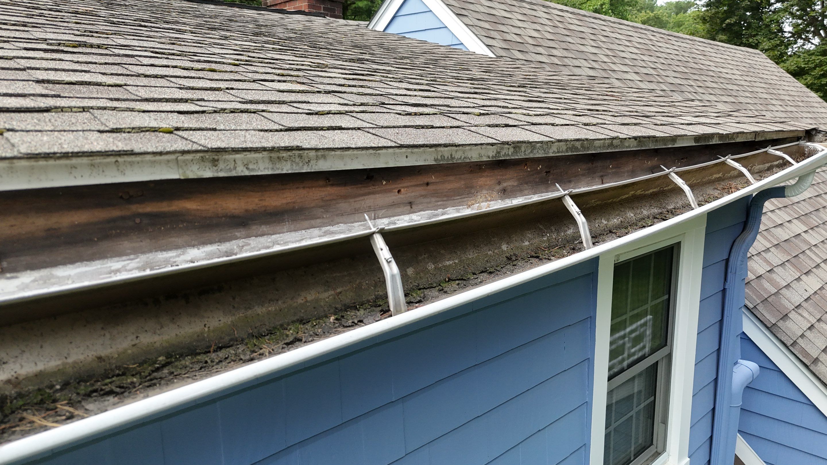 Gutter & Fascia Replacement in Concord, MA by Mighty Dog Roofing of Greater Middlesex County