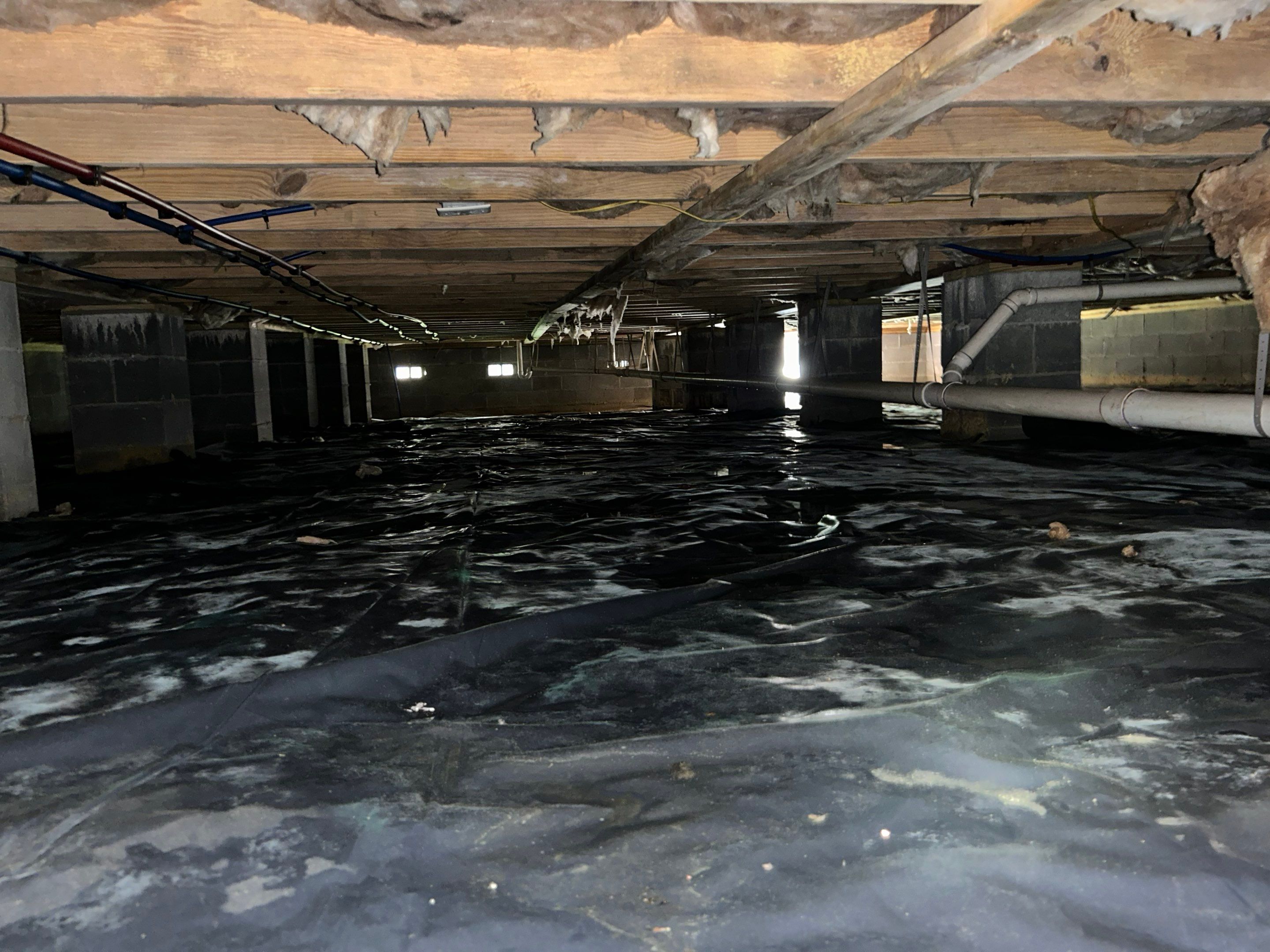 Premium Encapsulation with 20Mil, Borafoam insulation and Light System. by Impact Crawlspace