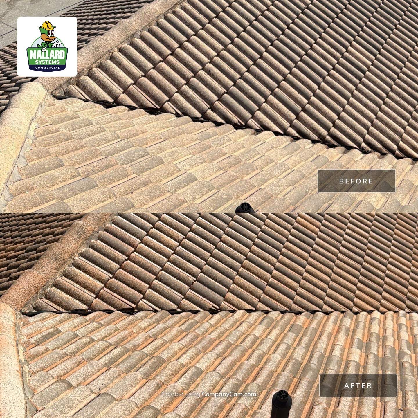 Tile Roof Cleaning for a Residential Home in Windermere by Mallard Systems