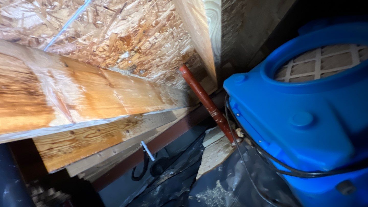 Mold Damage by Accountable Home Services