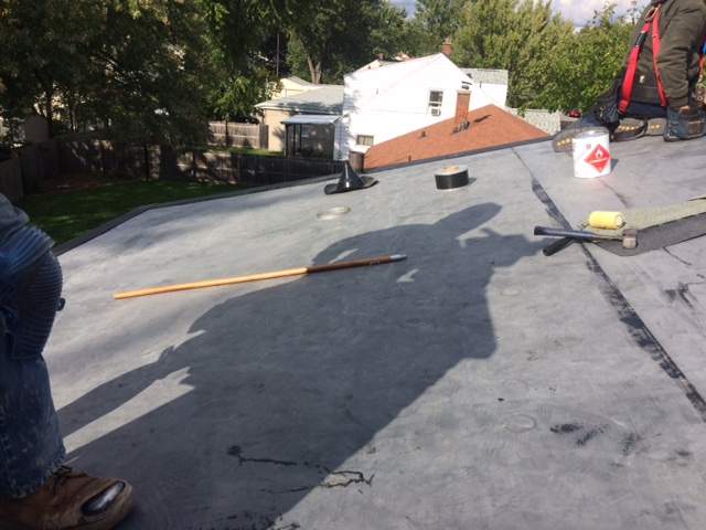 Exterior Siding and Roof by Ivy Lea Construction