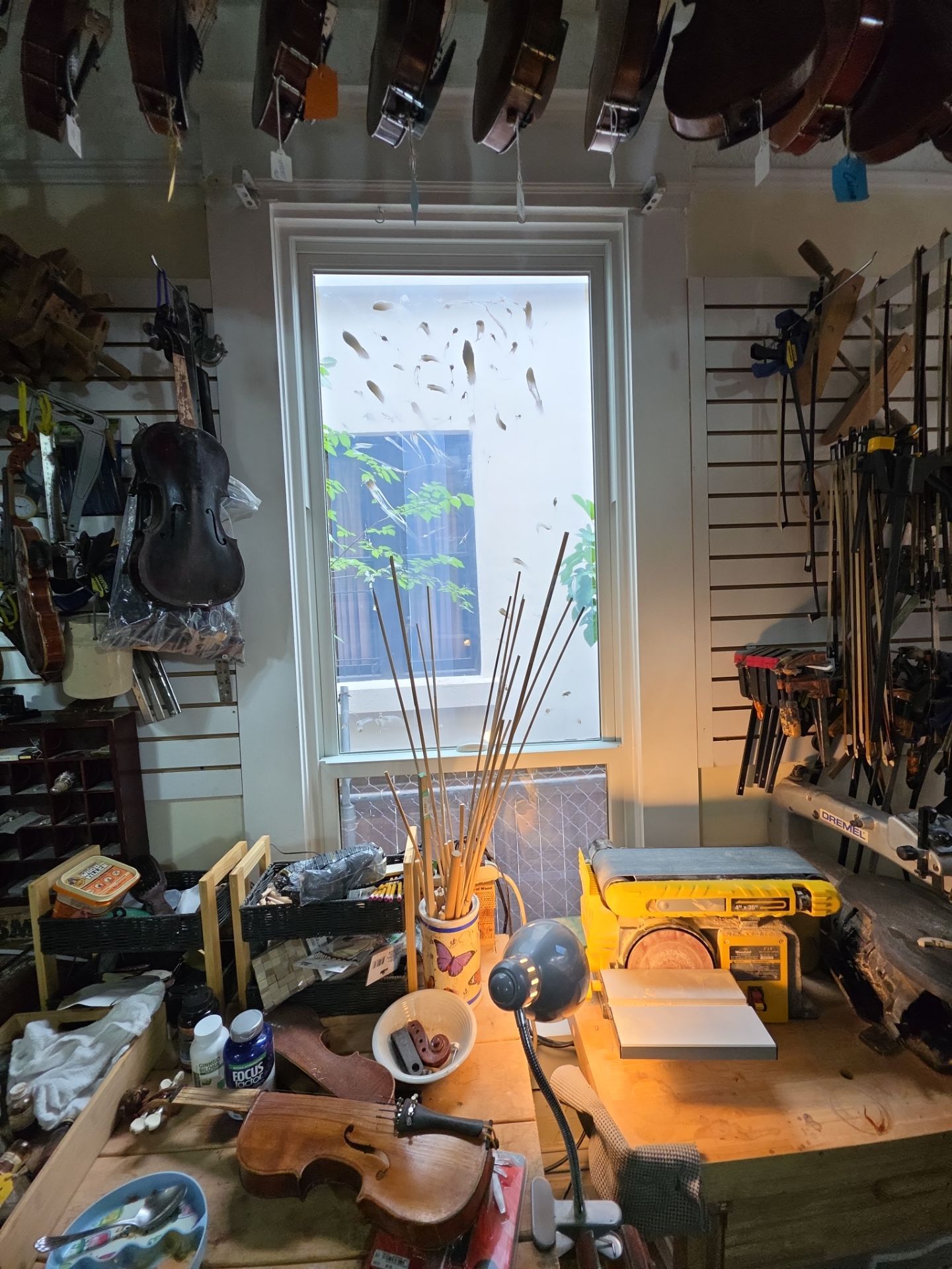 Whole-Home Andersen Window Replacement and Rot Repair in Jacksonville by Windows & Doors Store