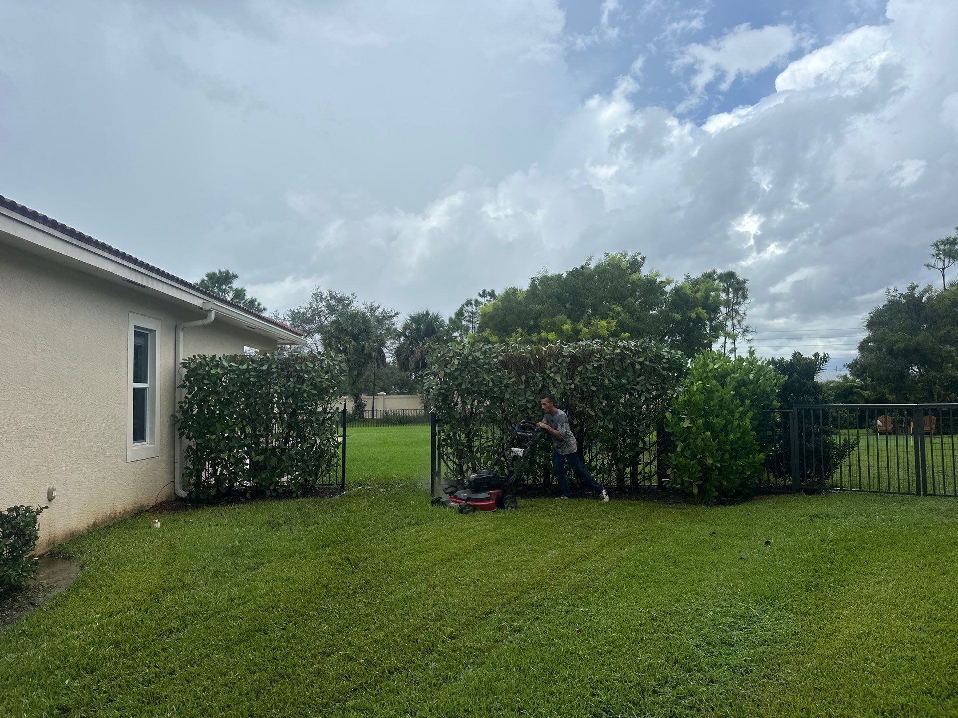 From Overgrown to Picture-Perfect - Stuart Refresh by Alpha Zeta Enterprises Inc