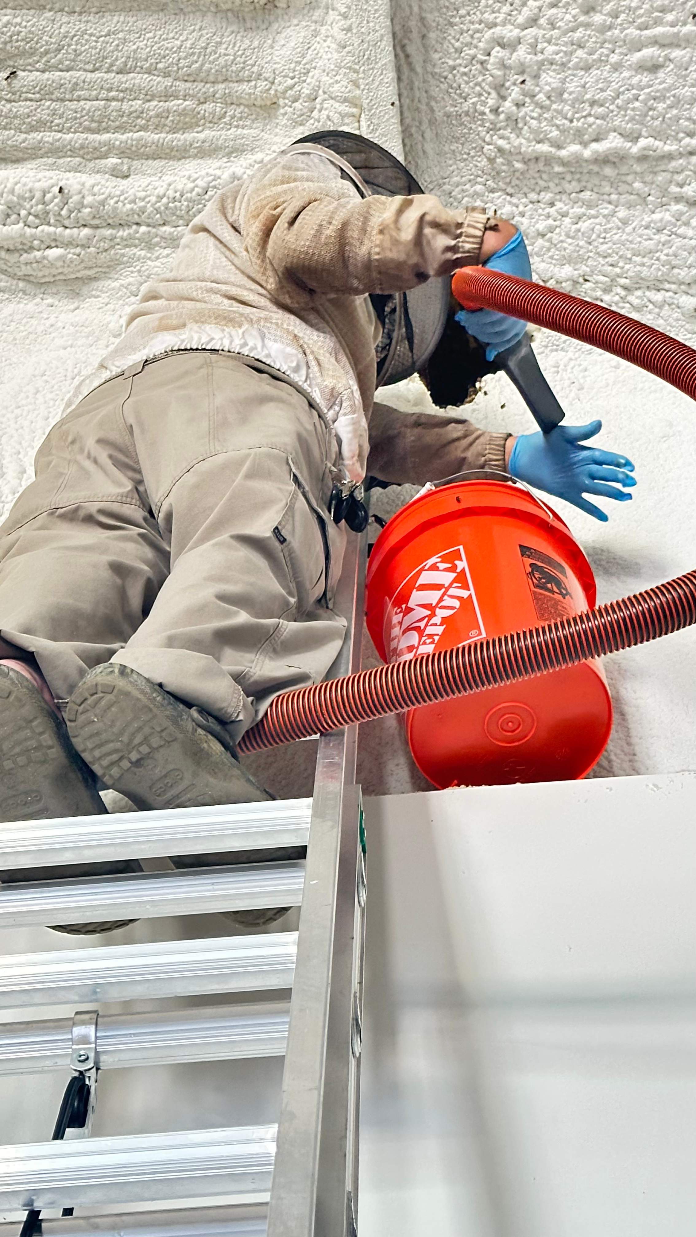 Art Gallery by Rockwall Honey Bee Company