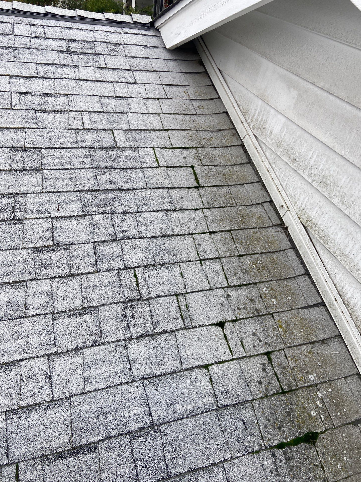 Roof Rejuvenation using Roof Maxx Treatment by Roof Maxx of Folsom