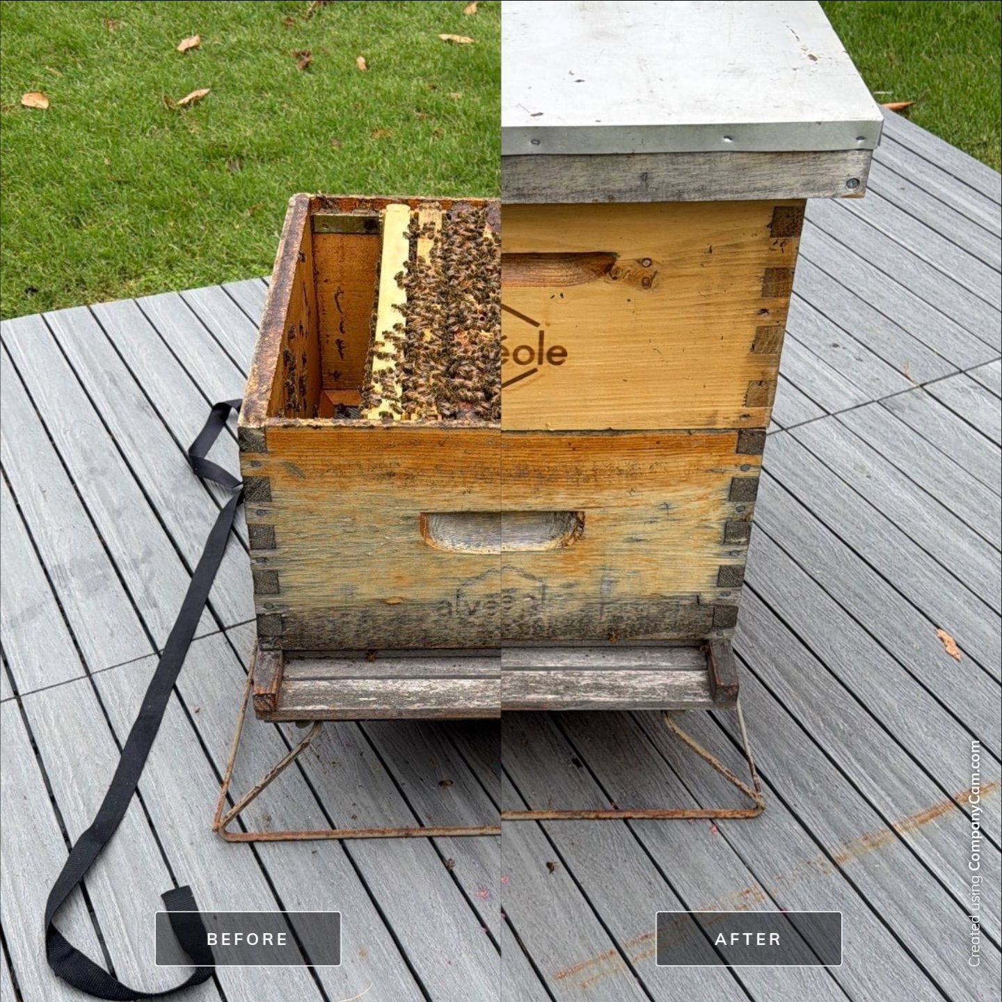 Platform Precious Population by Rockwall Honey Bee Company