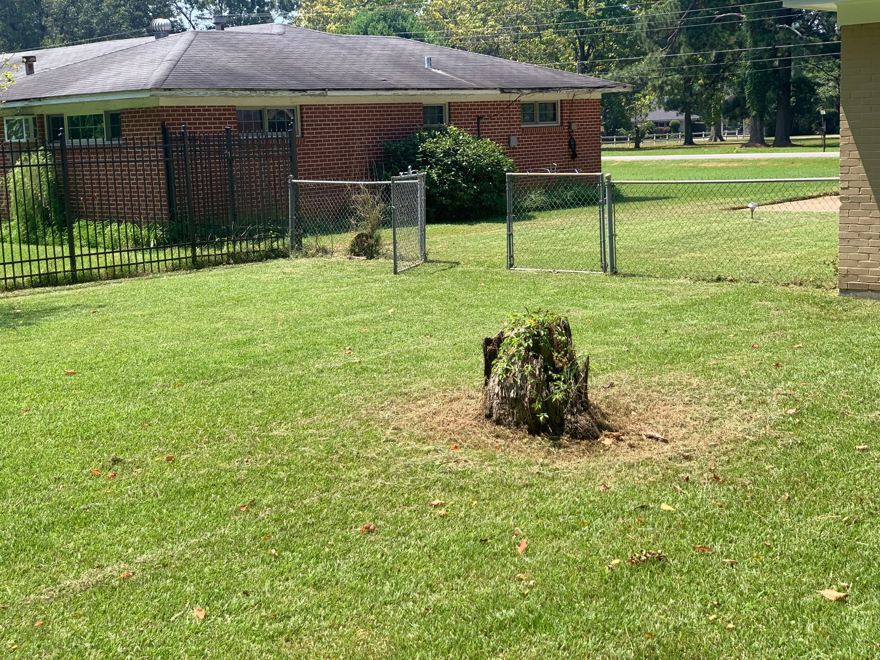 Yard Makeover by College Bros Outdoor services
