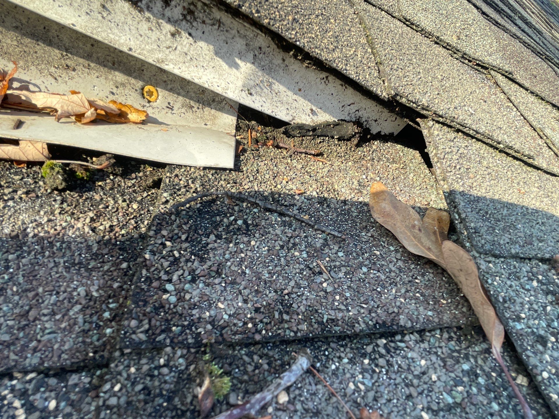 Roof Replacement using CertainTeed Landmark by 180 Contractors