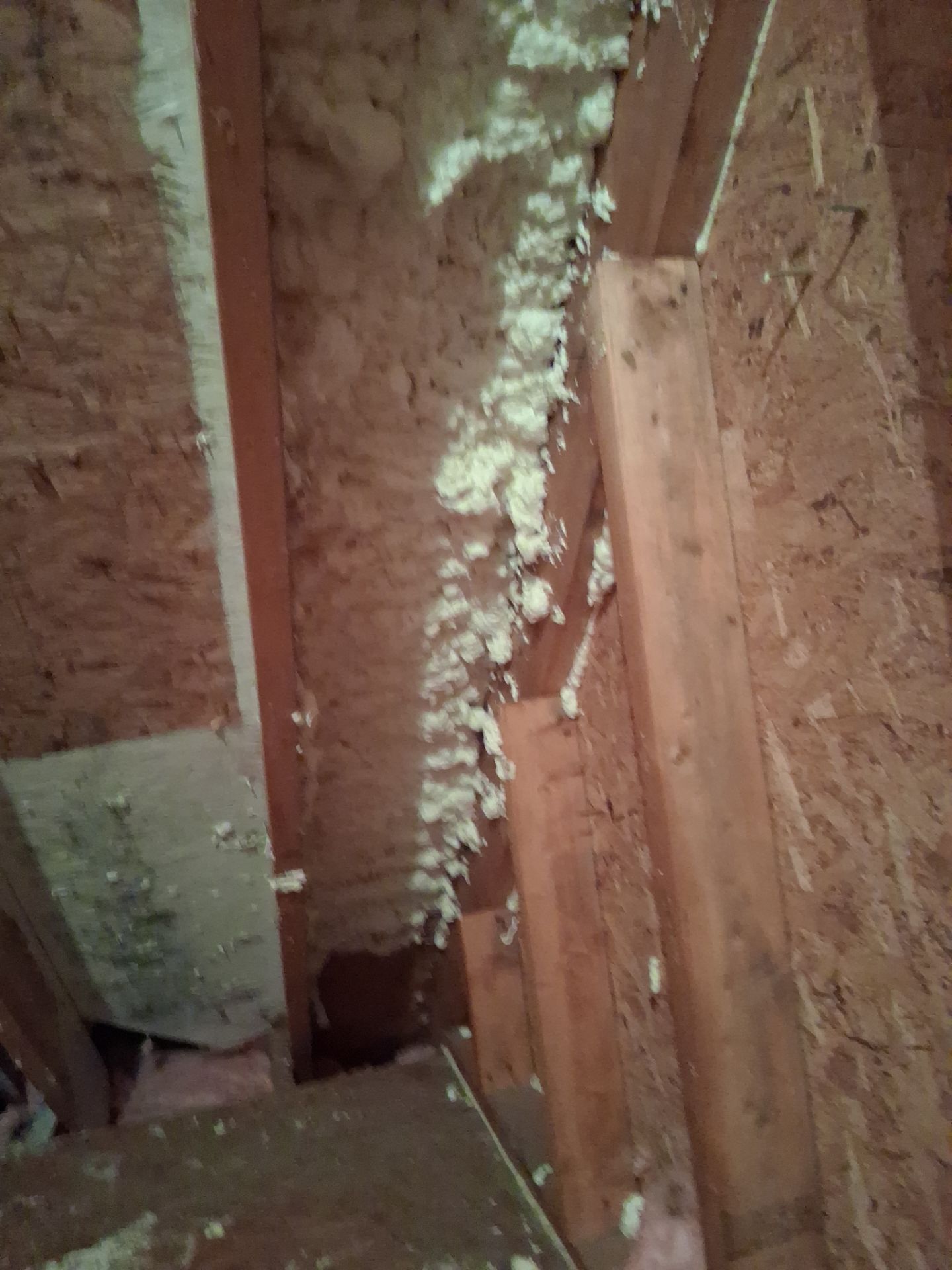 Attic Insulation and Repair by Toledo Basement Repair
