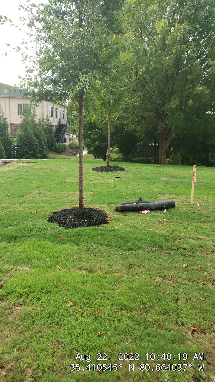 Harris Teeter Fuel Station Project Concord NC - (Commercial) by Carolina-Metro Landscape, Inc