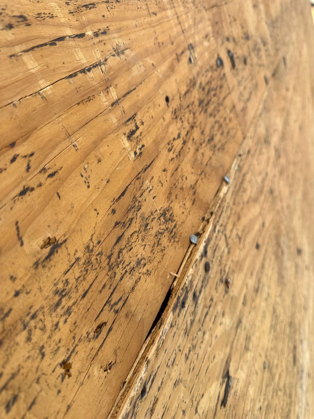 Roof Replacement Houston by Roof Repair Company