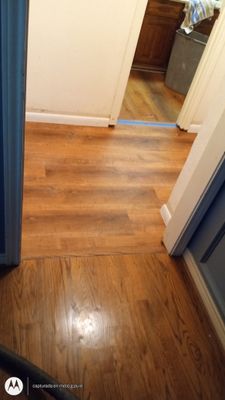 From Carpet to Pet Friendly Master BR