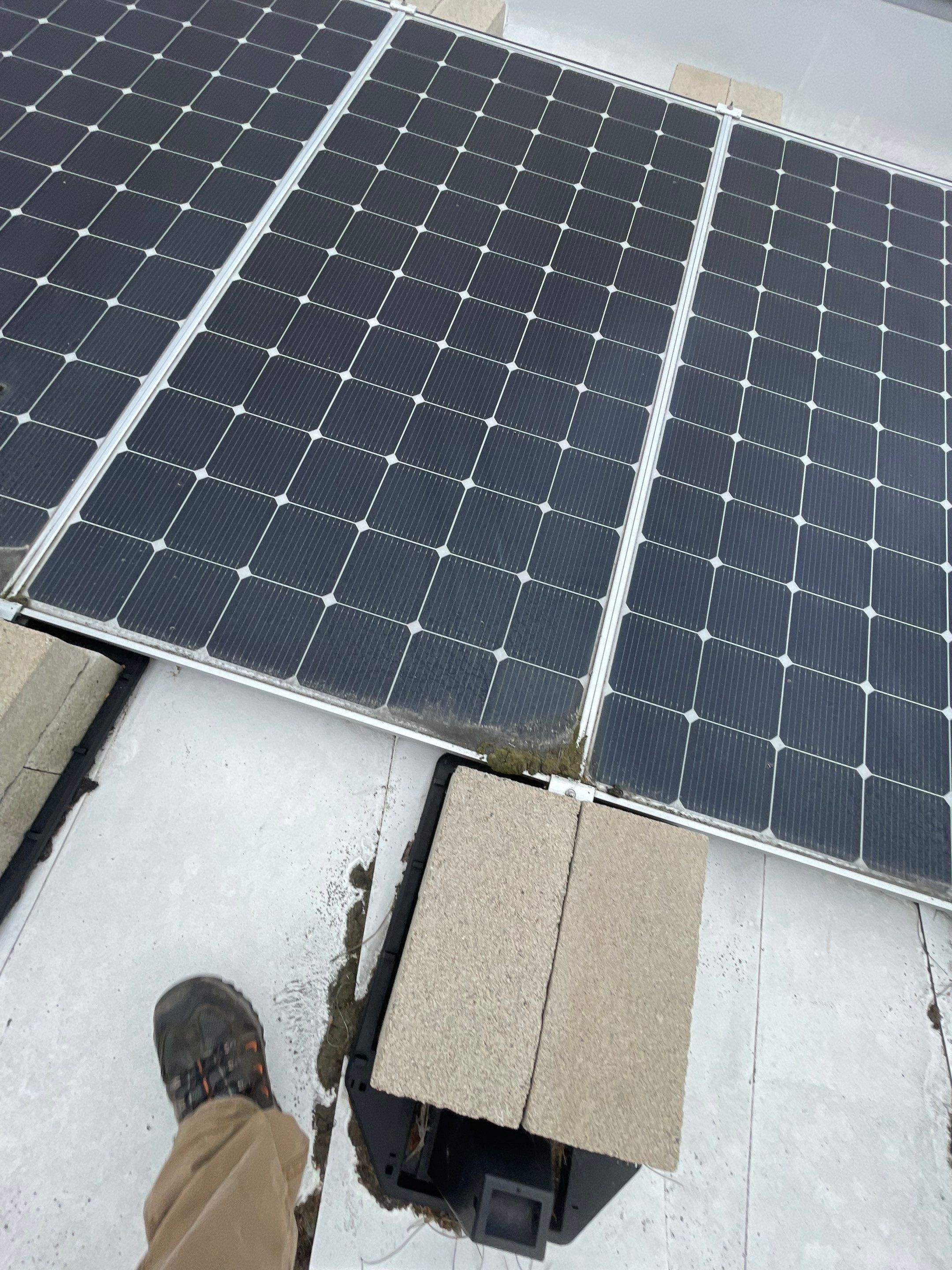 Commercial Solar Cleaning by Palm Coast Solar Cleaning