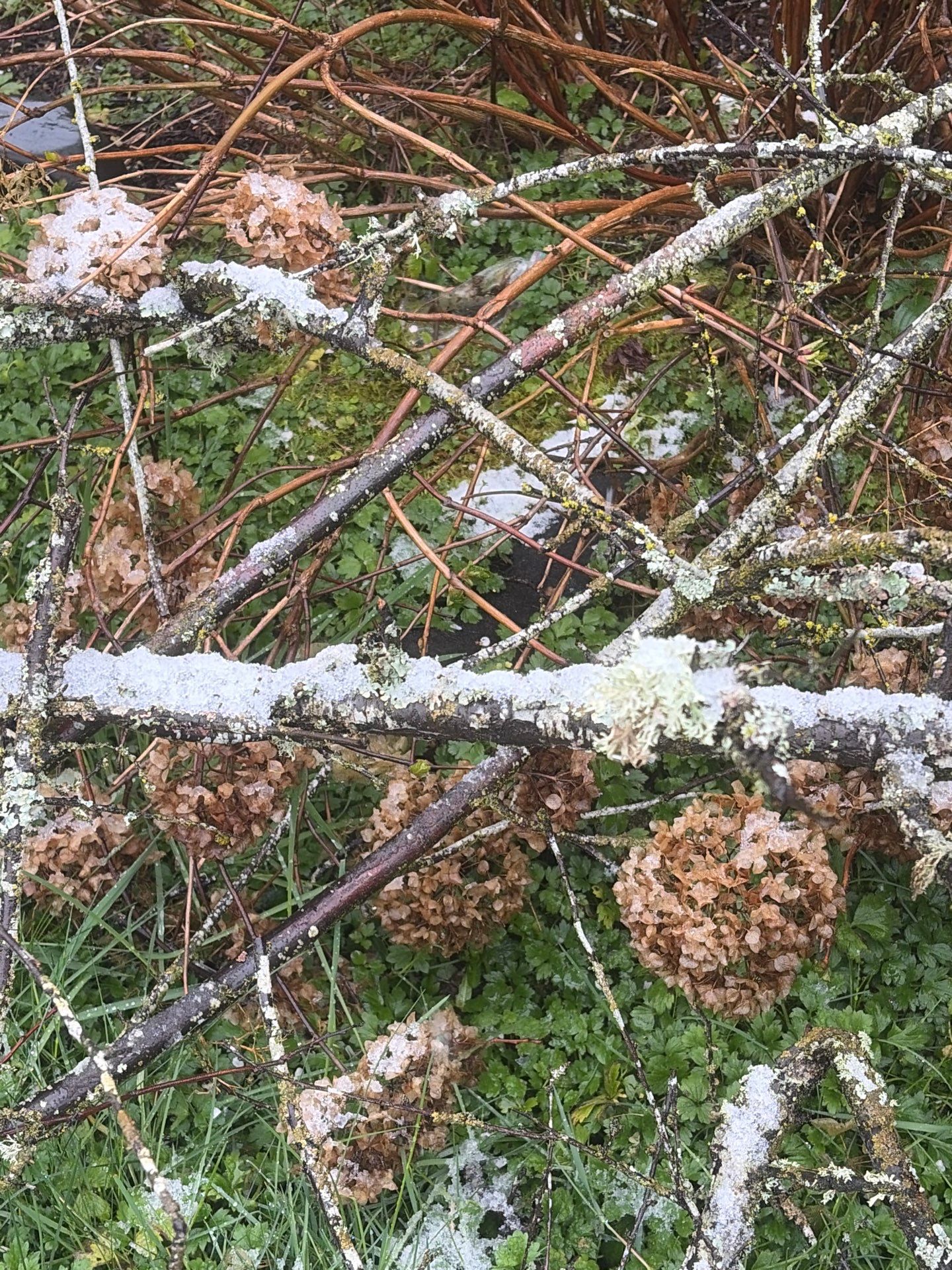 Roof in Lake Stevens by Connolly Construction Company