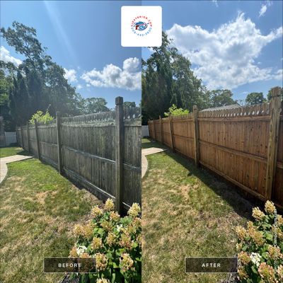 Fence Cleaning