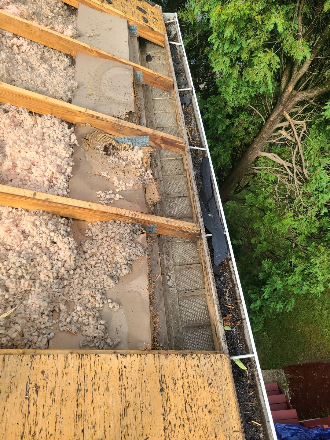 Falls Church: CertainTeed Landmark Pro Designer Shingles in Max Def Pewterwood by RM Banning, Inc.