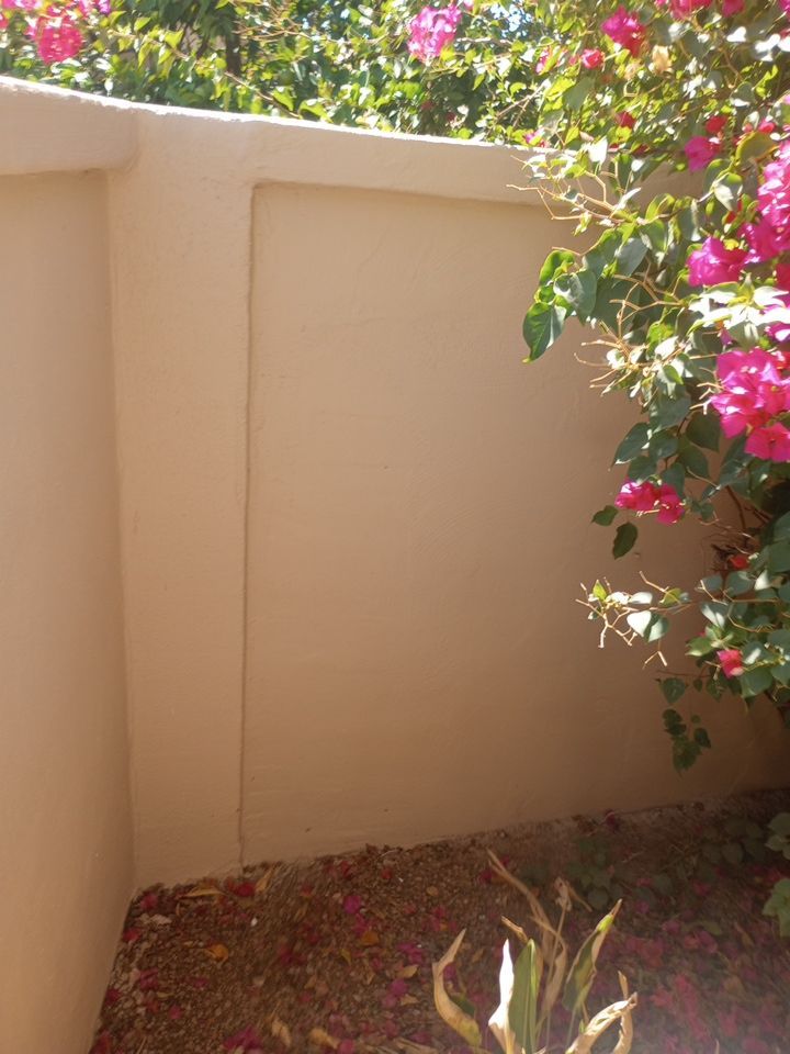 Exterior Painting Job in Scottsdale by Crash of Rhinos Painting & Garage Floors