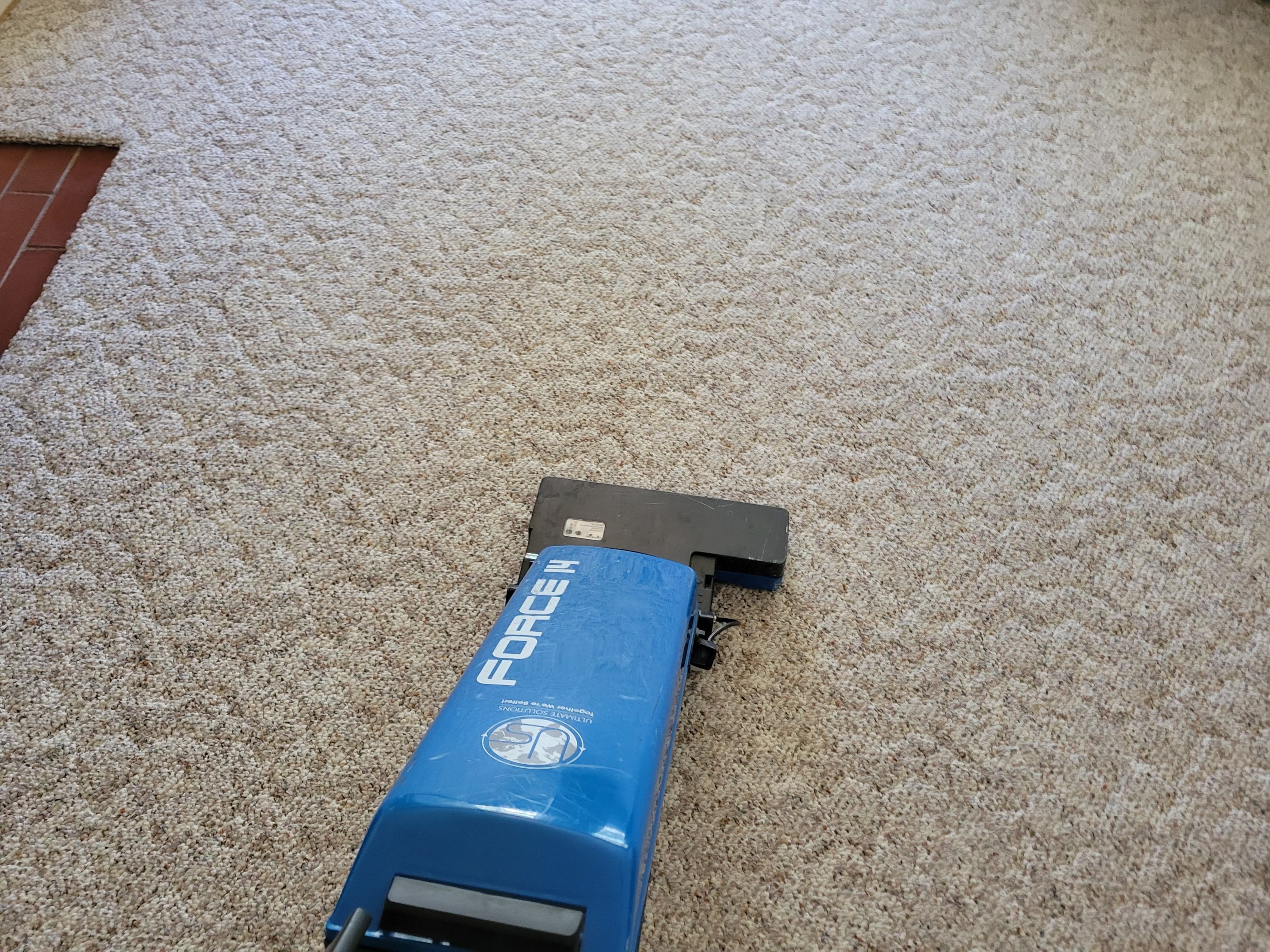 Patterned, Looped-Berber Carpet Cleaning by Ardent Carpet Restore LLC