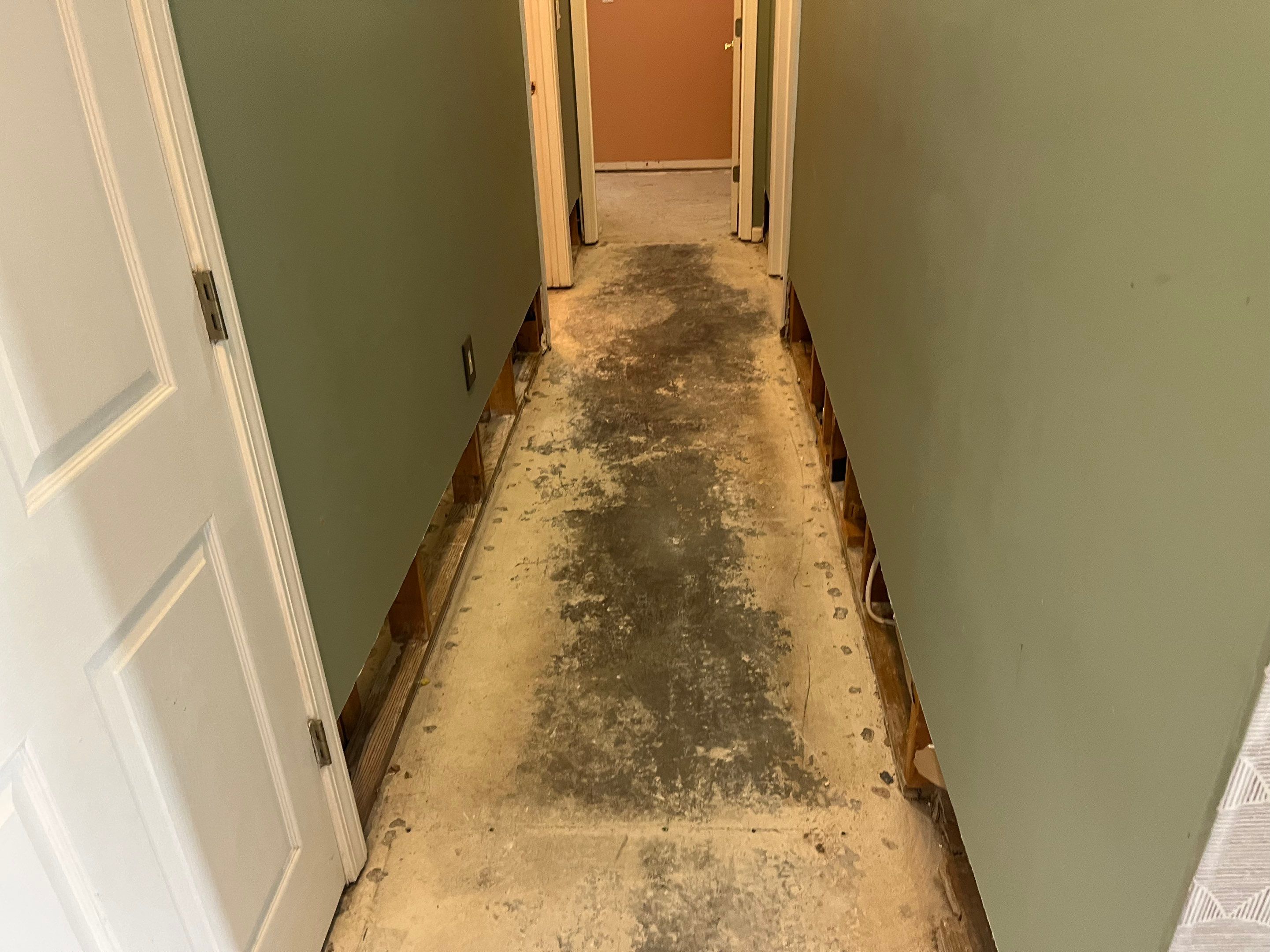 Mitigation and Repairs Project by ANR Restoration