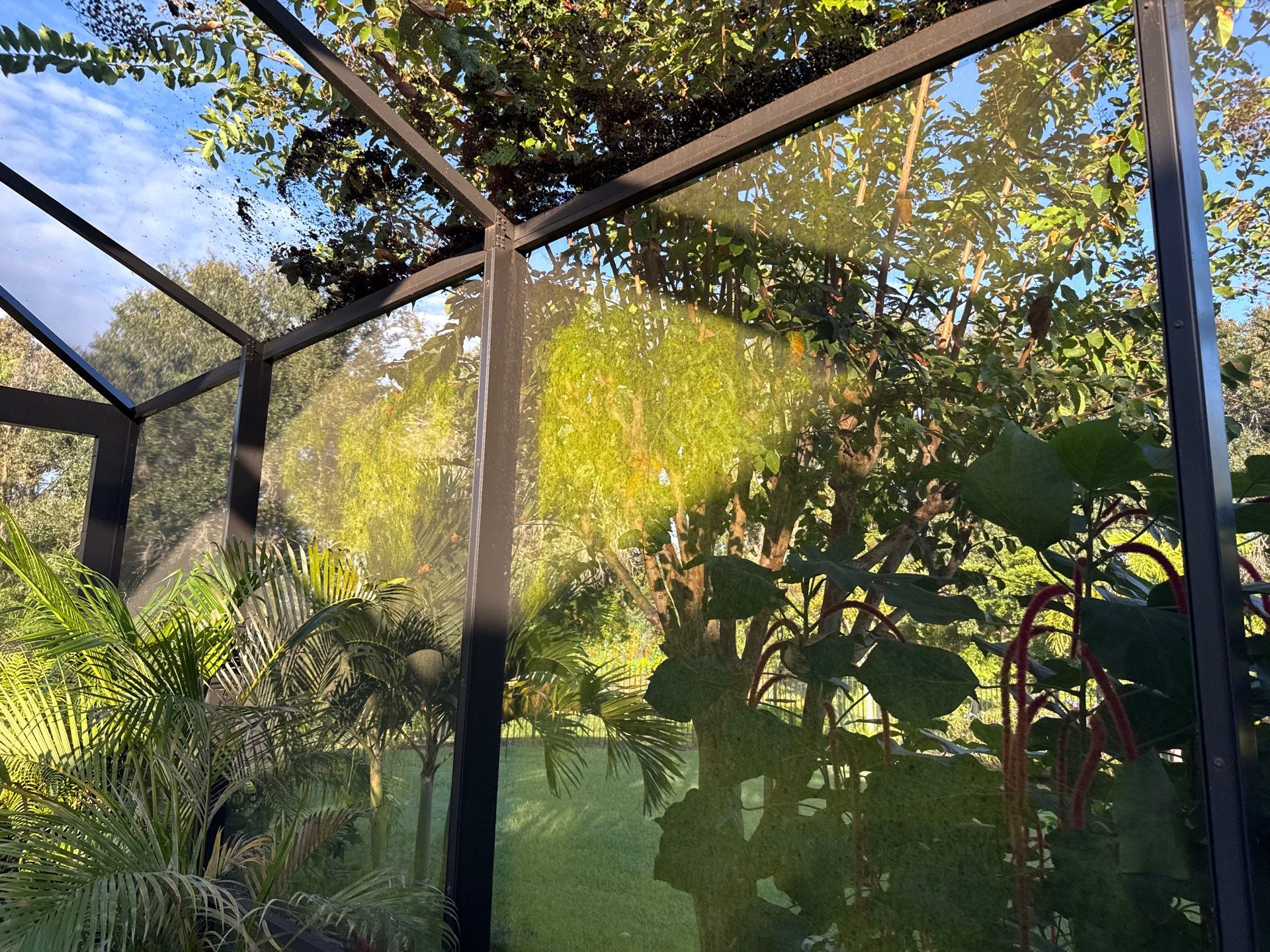 Pool Cage Cleaning | Rye Wilderness, Bradenton FL by Sunshine AquaWash