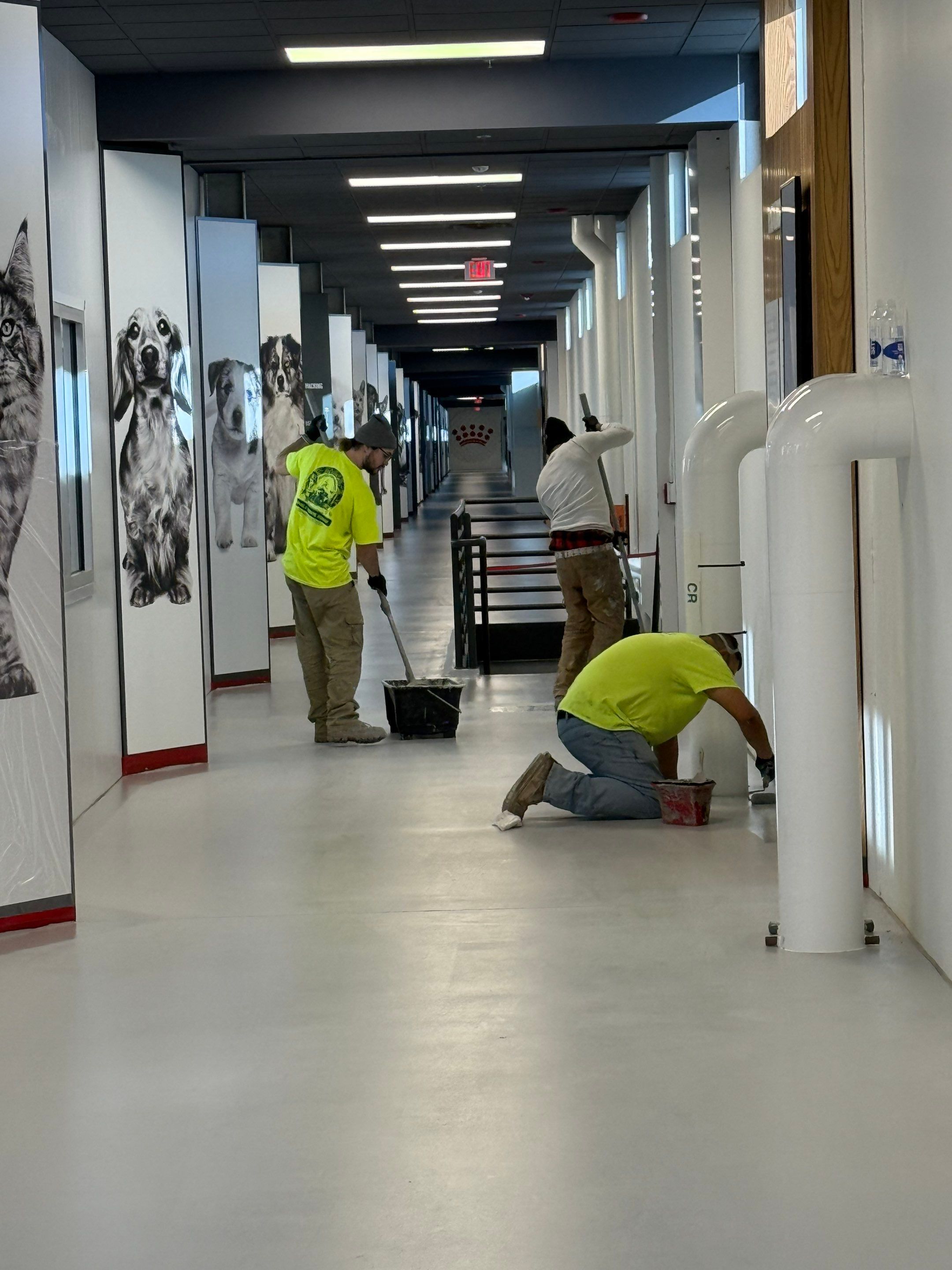 Royal Canine - Floor Renovation by Select Painting, Coatings & Garage Cabinets