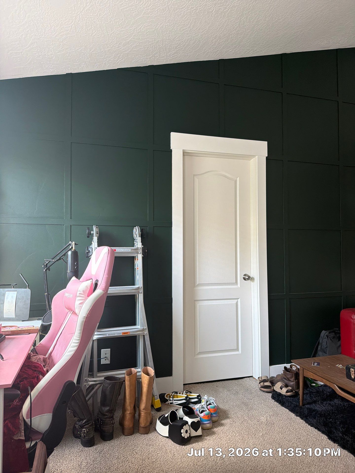Dark Green Grid Accent Wall and Door Trim in South Salt Lake by CompanyCam Sales Demo