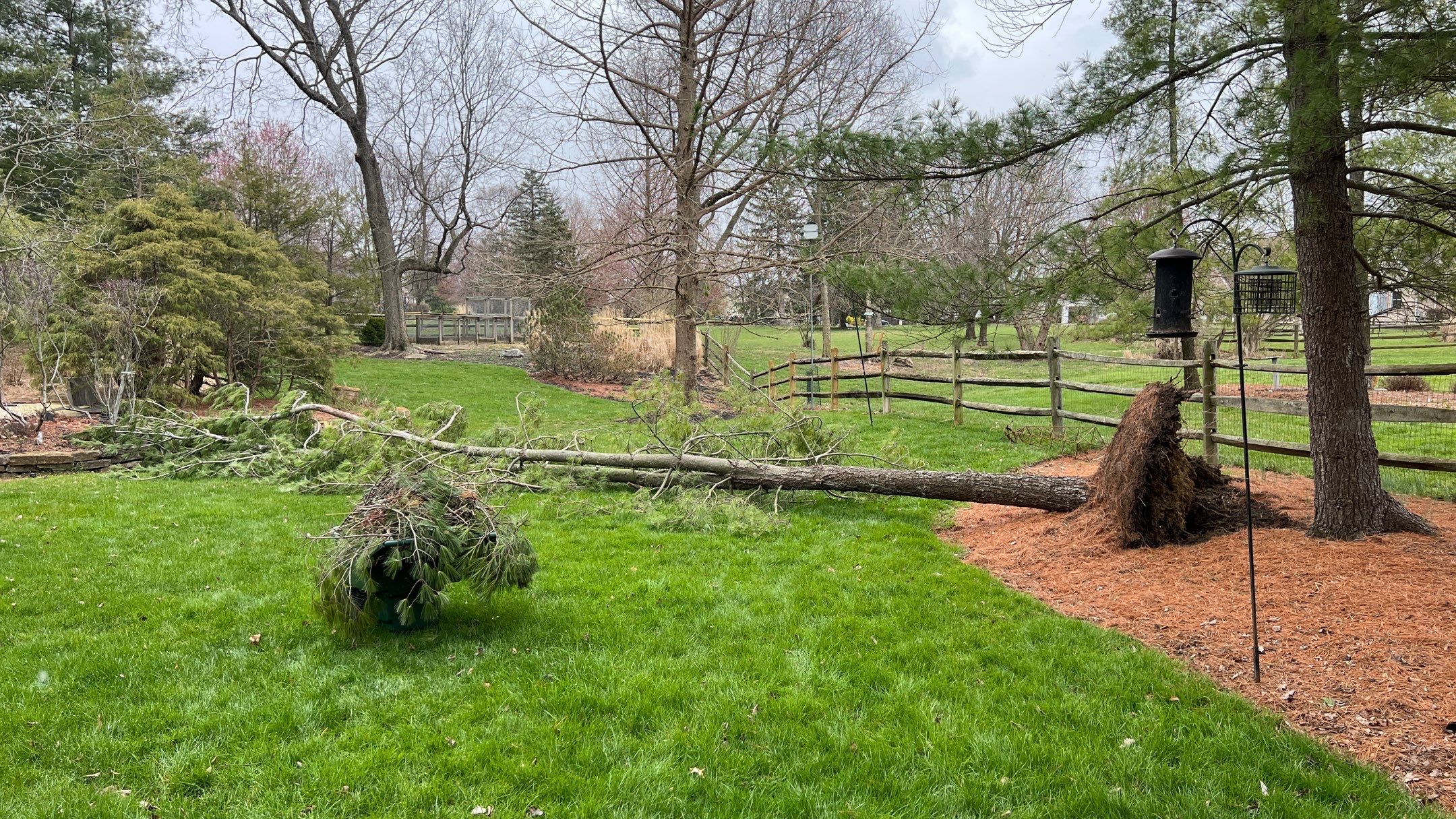 Storm Damage Tree Removal by Reisenberg’s Lawn & Landscape, LLC