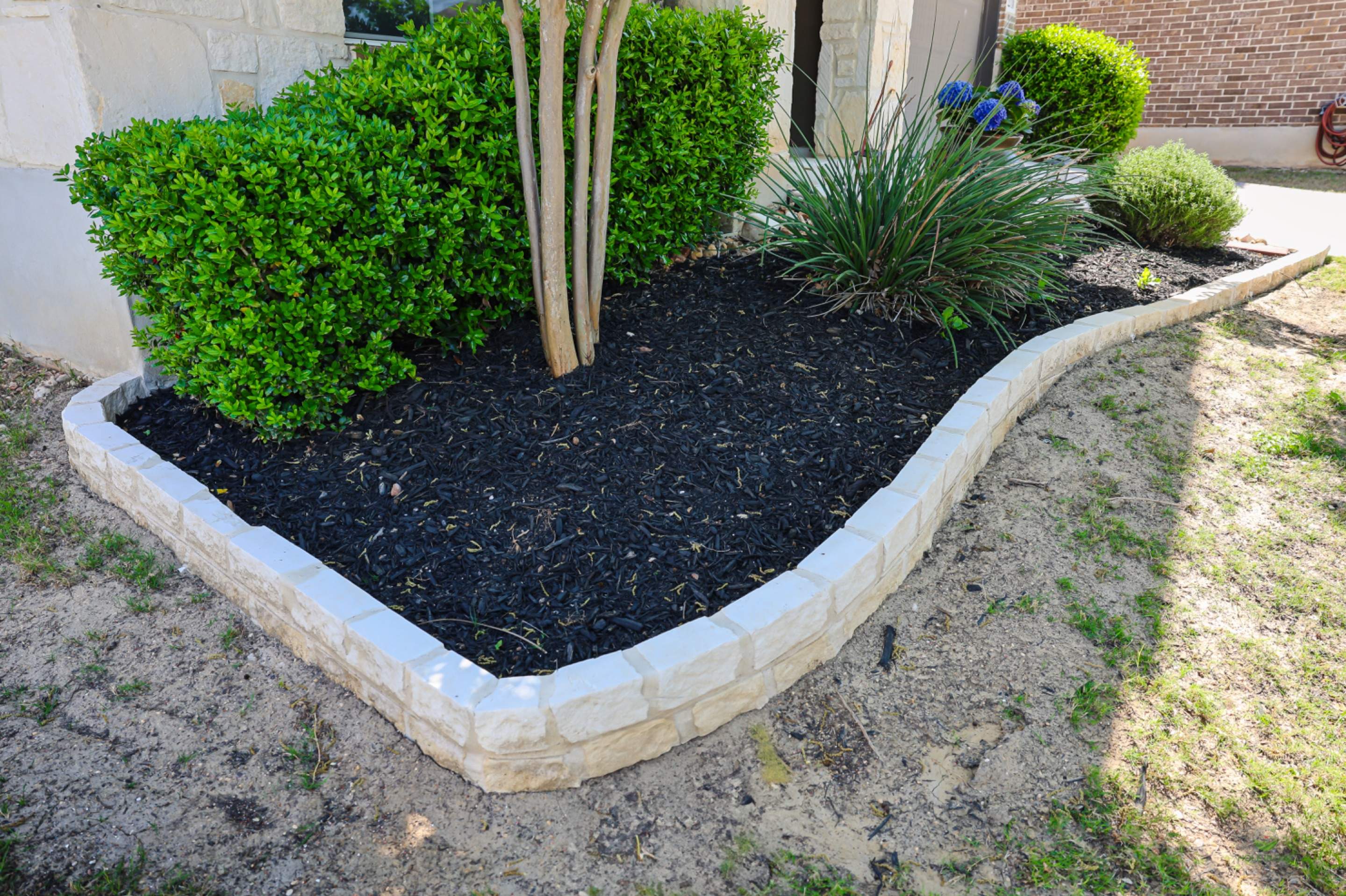 Wortham Oaks, San Antonio Tx. by Hole In One Lawns, LLC