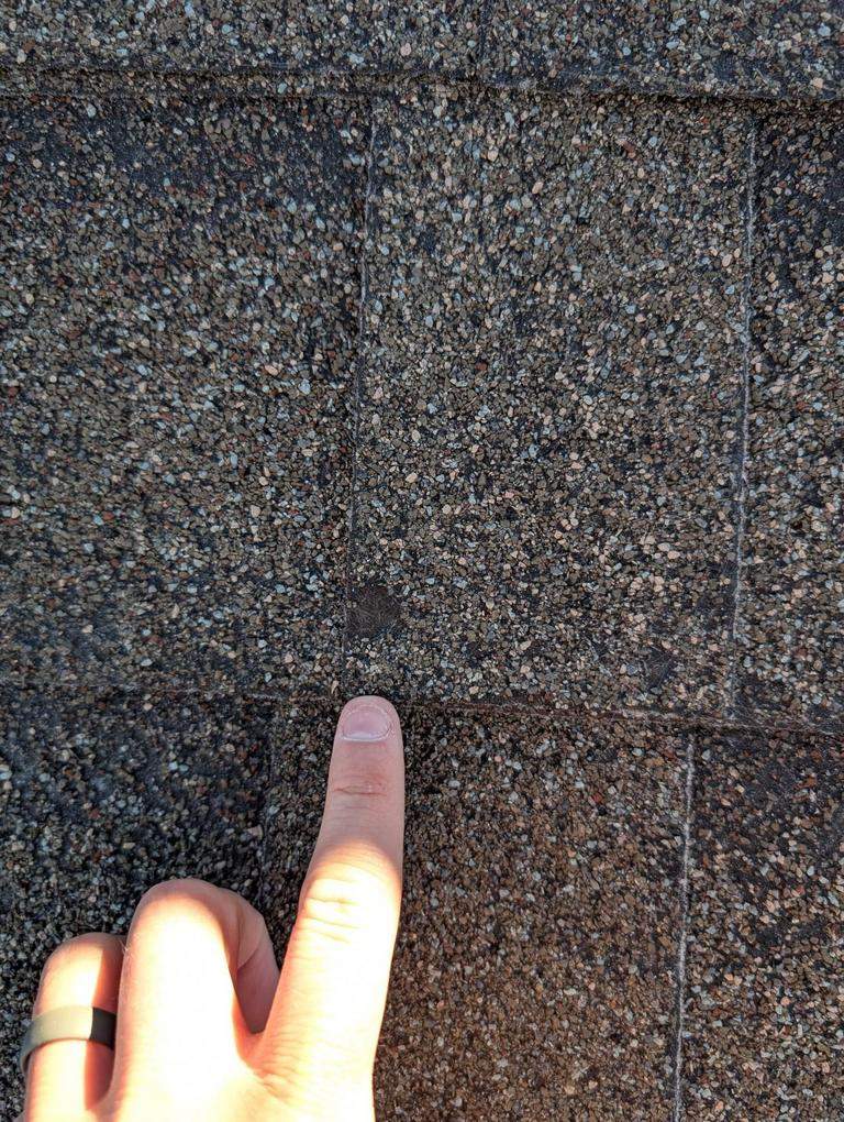 Roof Replacement in Cape Fair by Table Rock Design + Build