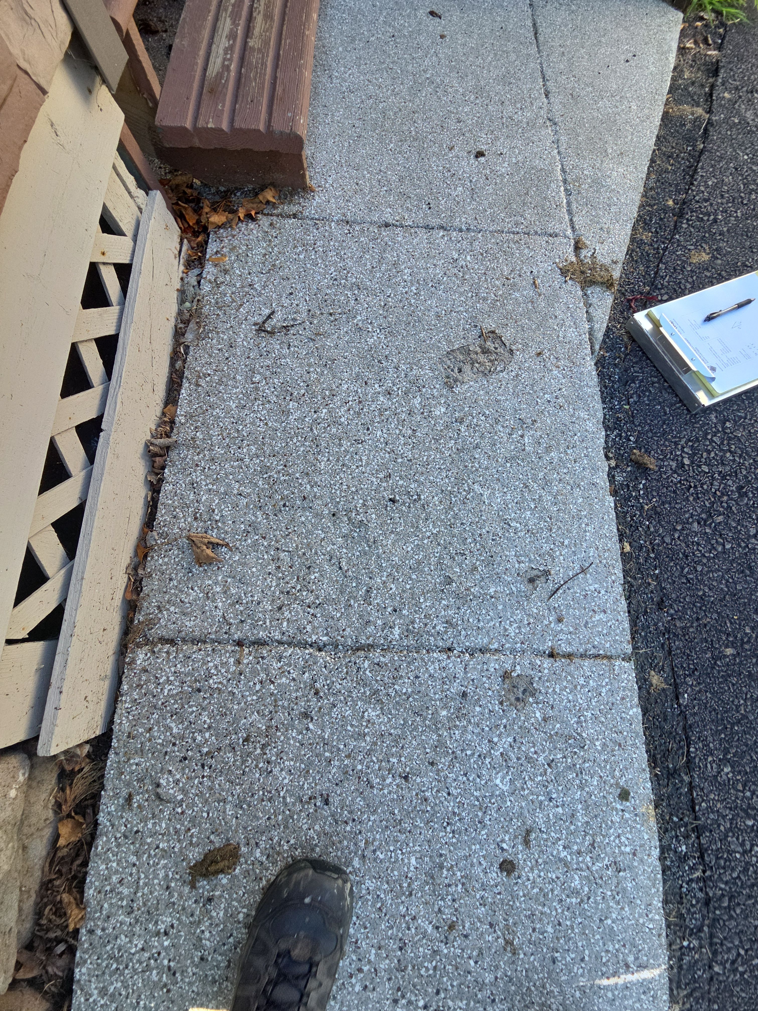 Earth Effects Stardust Sidewalk Coating by NG Masonry & Construction LLC
