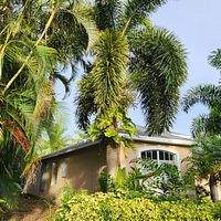 Owens Corning Duration Estate Gray