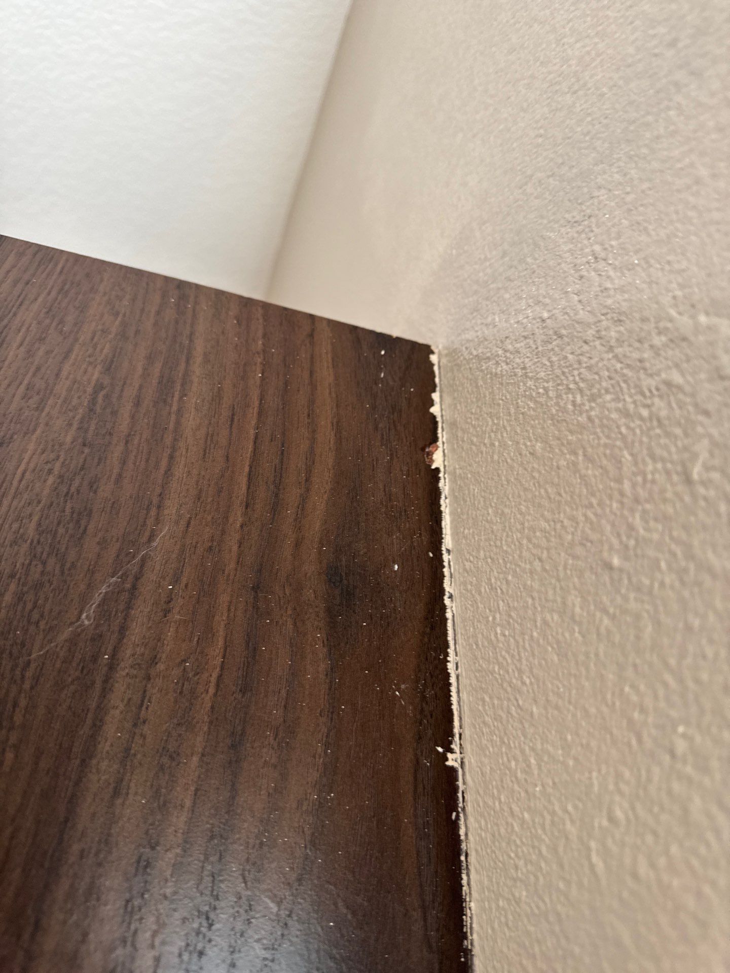 Project in Des Moines by Midwest Paint LLC