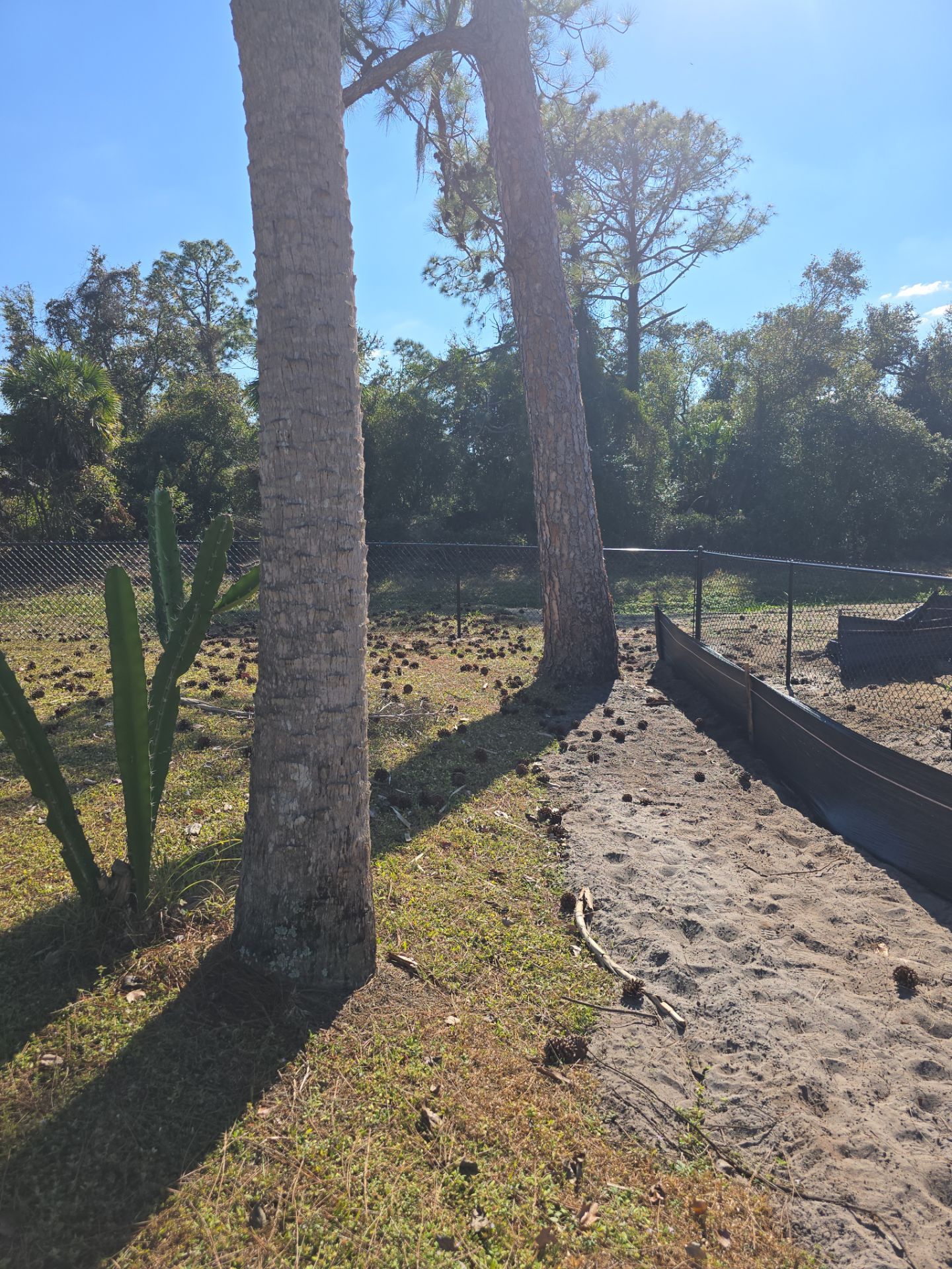 Chain Link Install in North Port by True Fence LLC