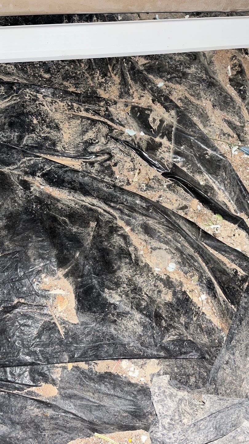 Mold Damage Project in Littleton by Accountable Home Services