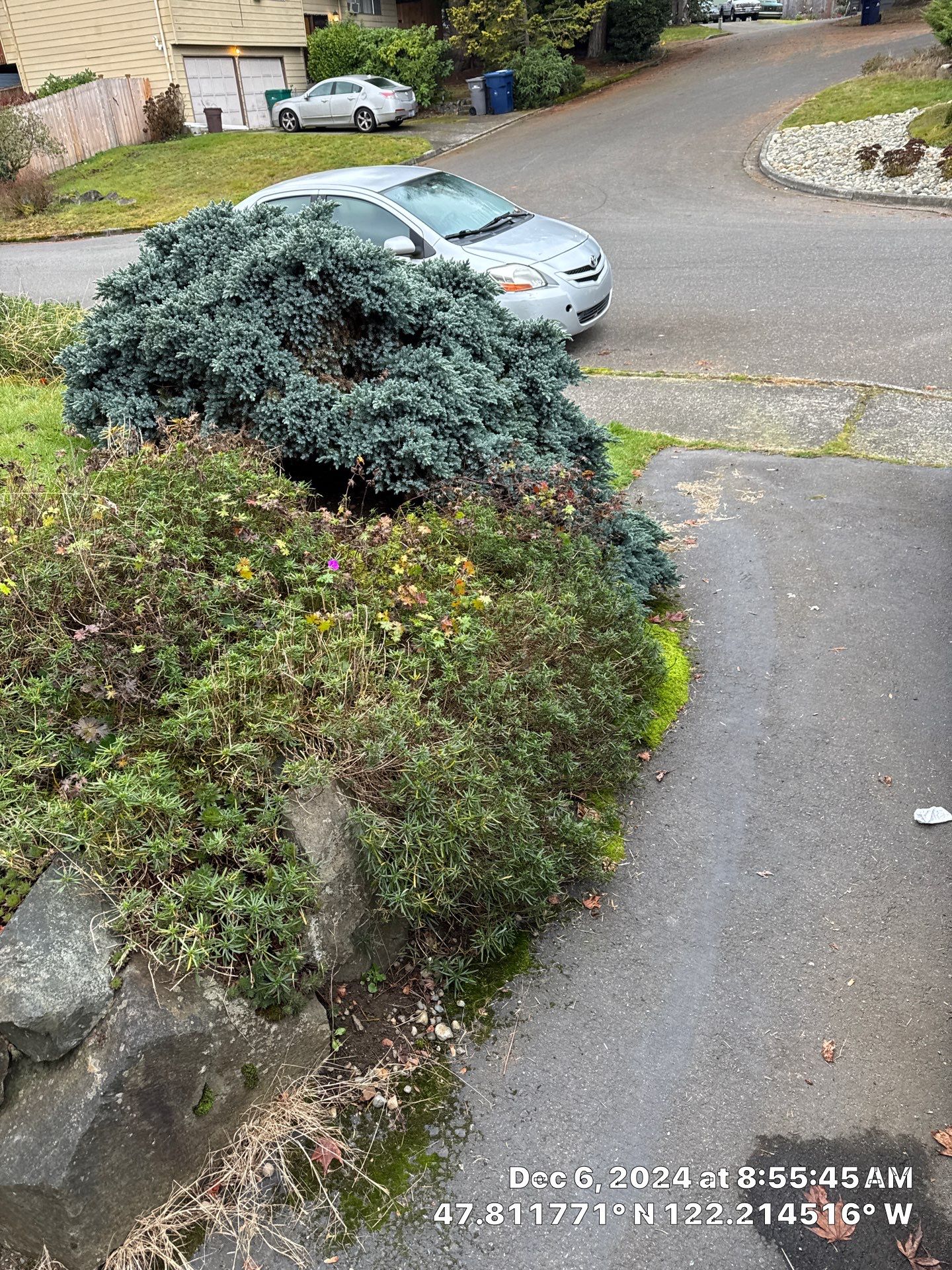 Concrete Front Stair Repair | Bothell  by Jireh Asphalt & Concrete Inc 