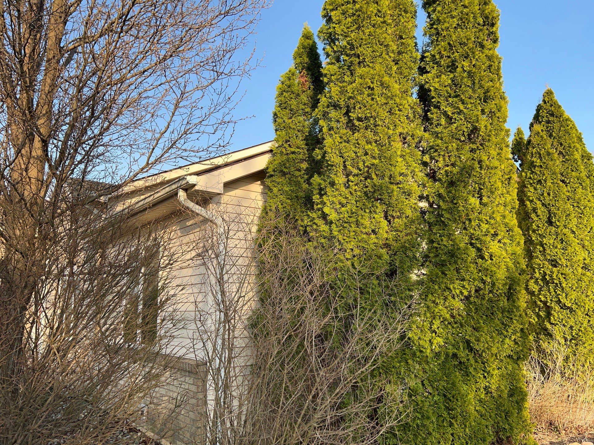 Wind-Resistant Metal Roof Installation in Rural Columbia City, Indiana by 4Ever Metal Roofing