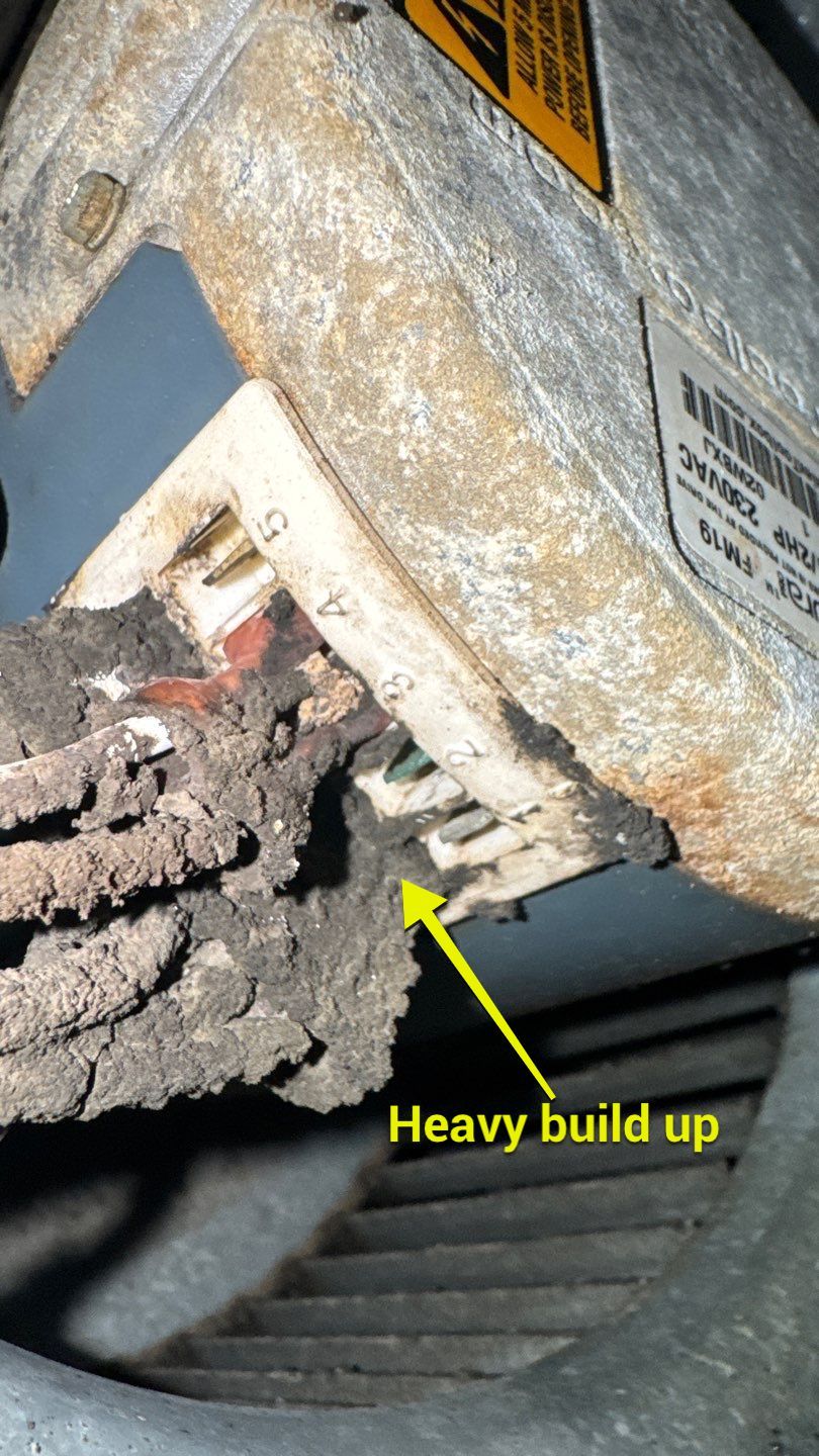 Extremely Dirty Air Duct Cleaning in Fruitland Park by Hygienic Air, Inc