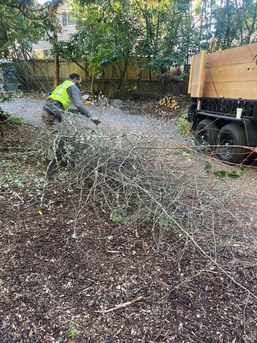 Tree Removal using Tree Removal by Mike Jones & Sons Tree Service LLC 