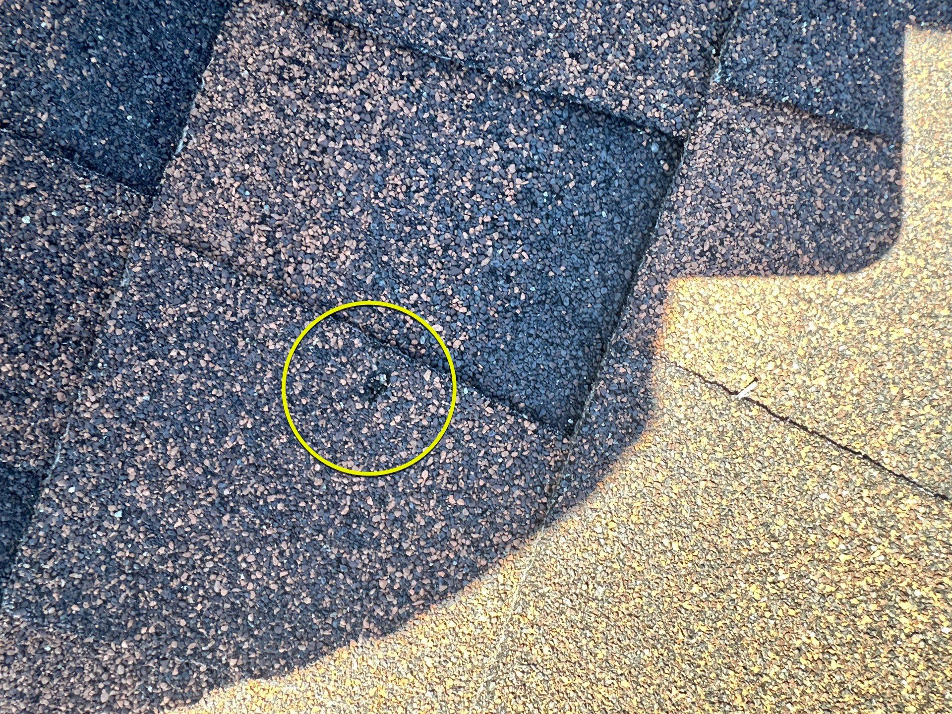 1700 Nelson Road • Bozeman, Montana 59718 by swagg construction