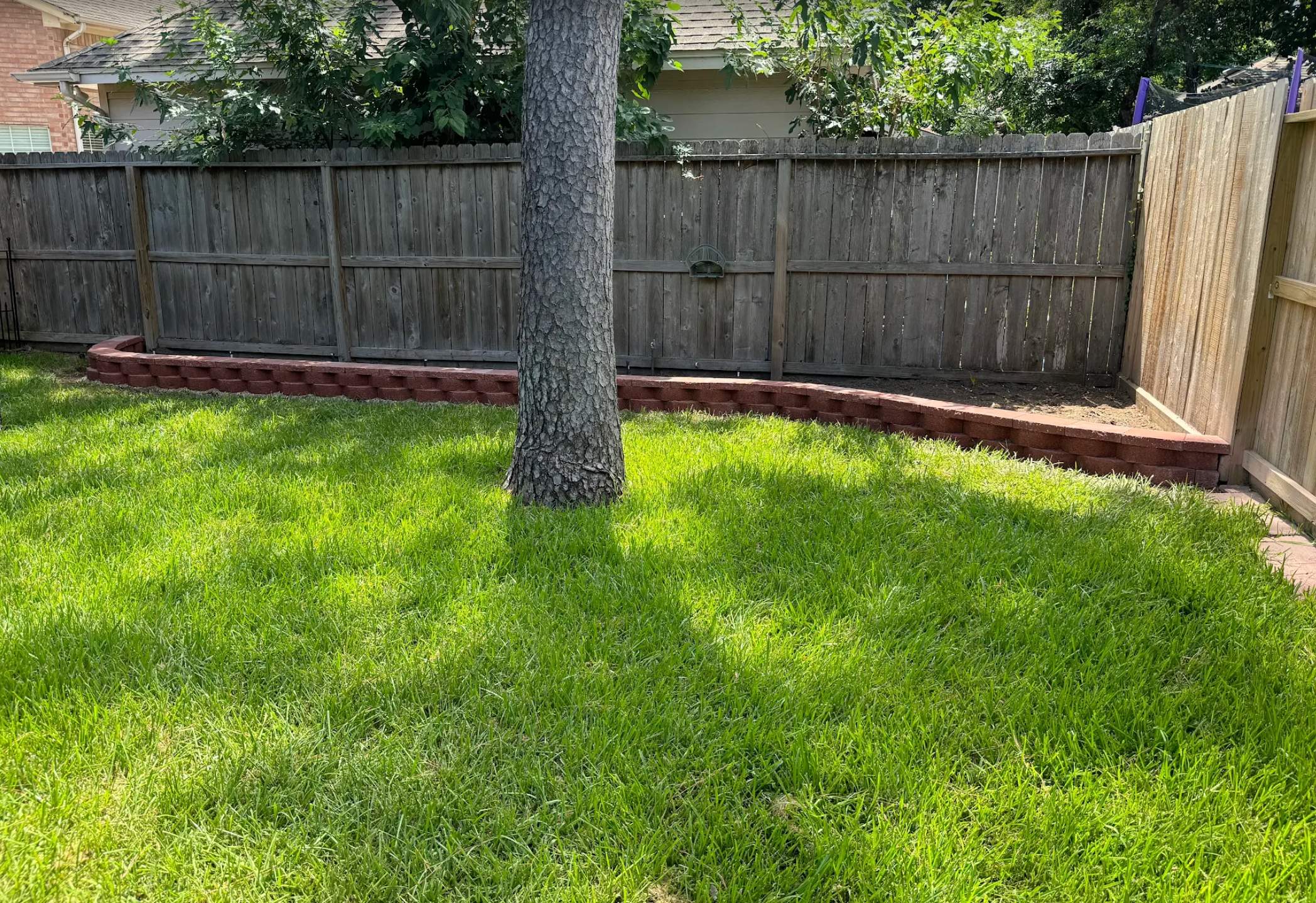 From HOA Headaches to Head-Turning Curb Appeal: Travis's Front Yard Makeover! 🤩 by Texas Urban Elements