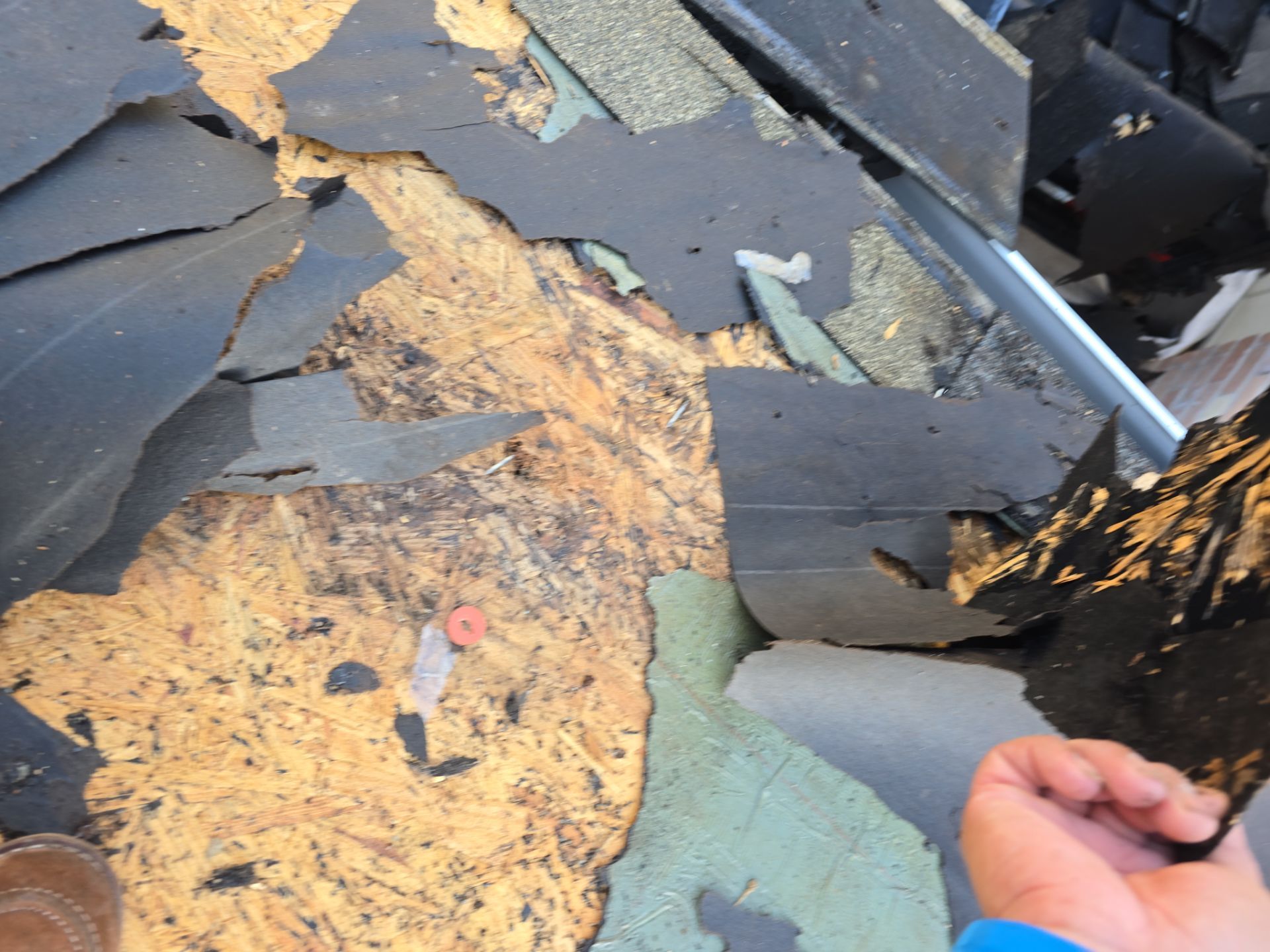 Roof Replacement Spring by Roof Repair Company